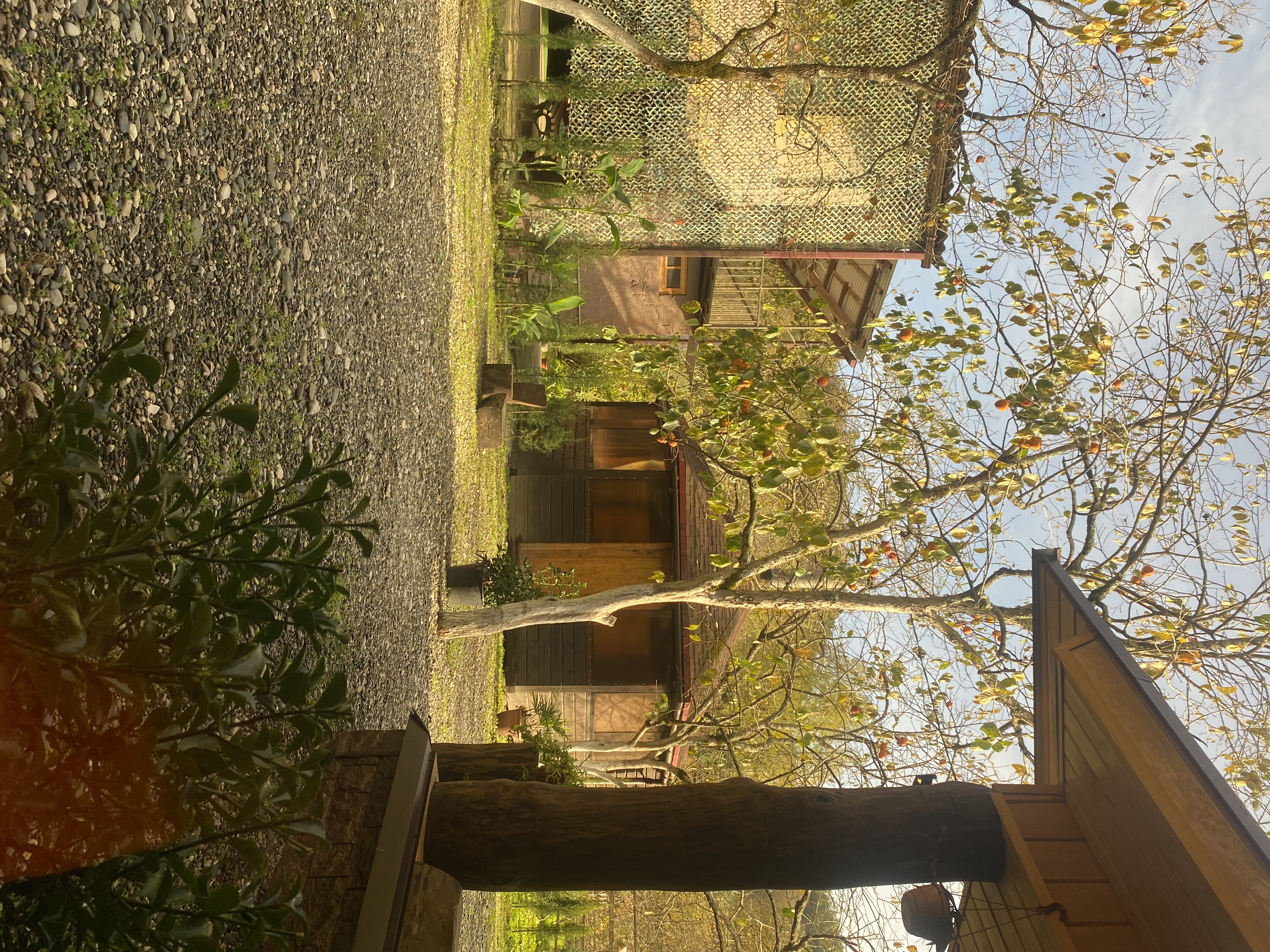 ЭКО-Глэмпинг БУНГАЛО, Гагра — фото 162