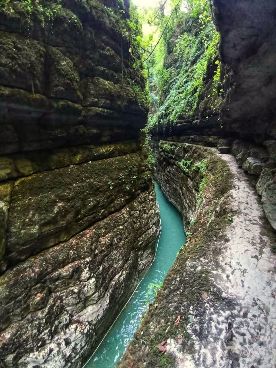 ЭКО-Глэмпинг БУНГАЛО, Гагра — фото 13