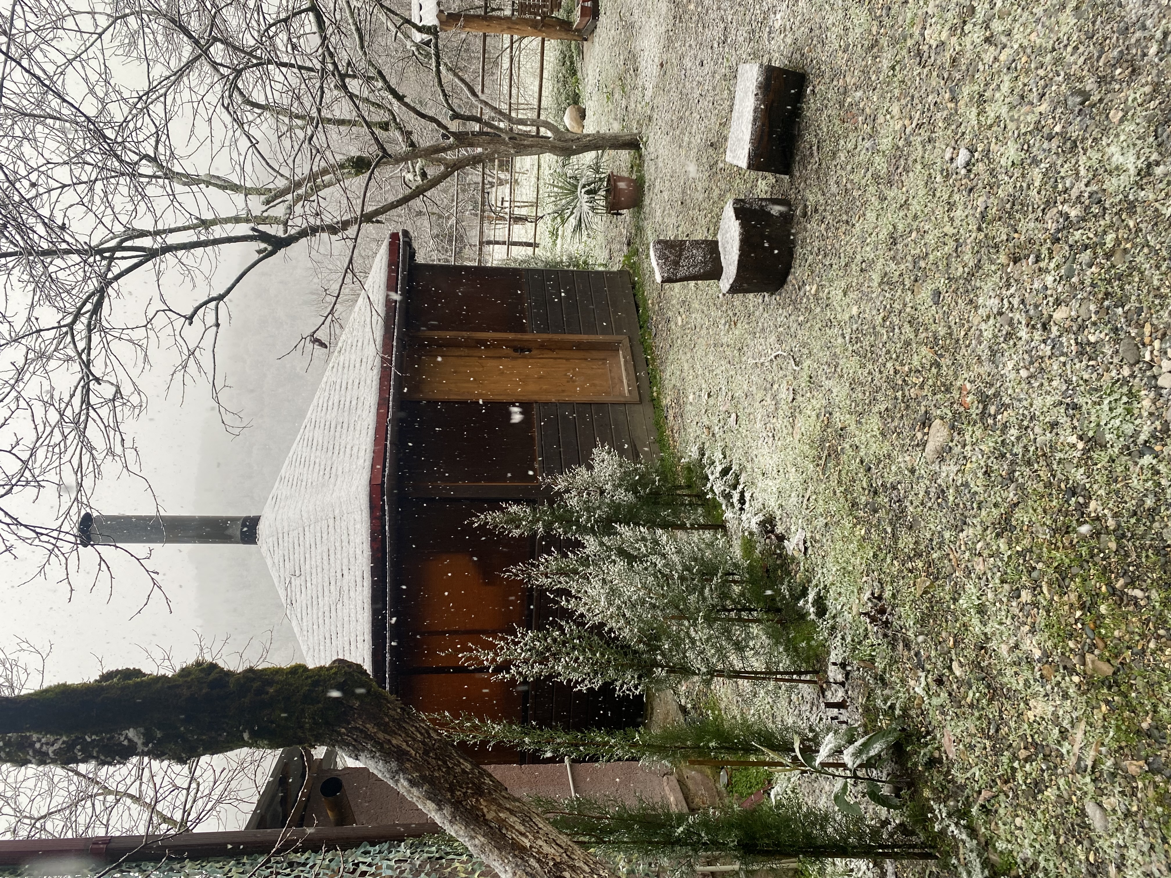 ЭКО-Глэмпинг БУНГАЛО, Гагра — фото 8