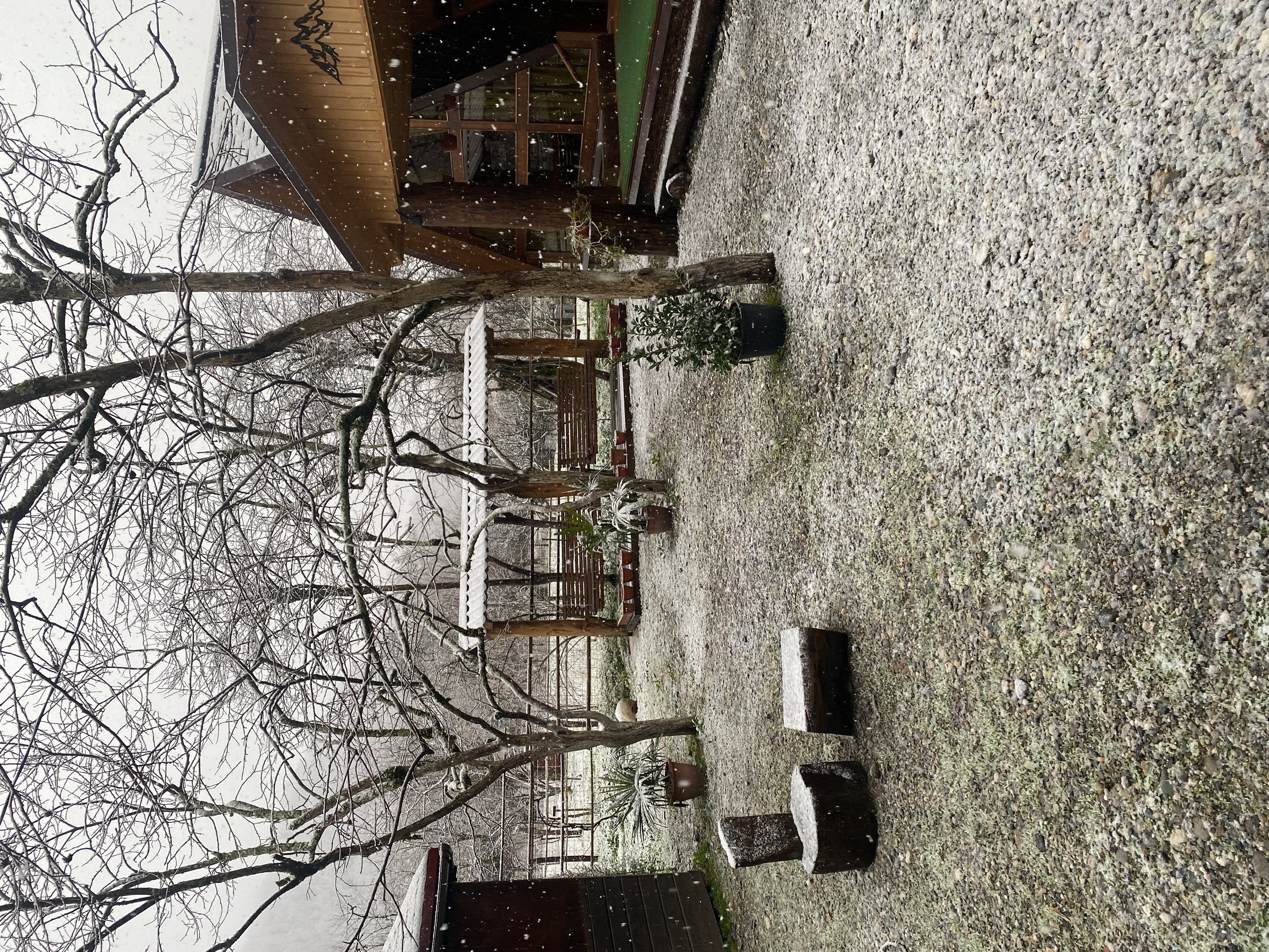 ЭКО-Глэмпинг БУНГАЛО, Гагра — фото 7