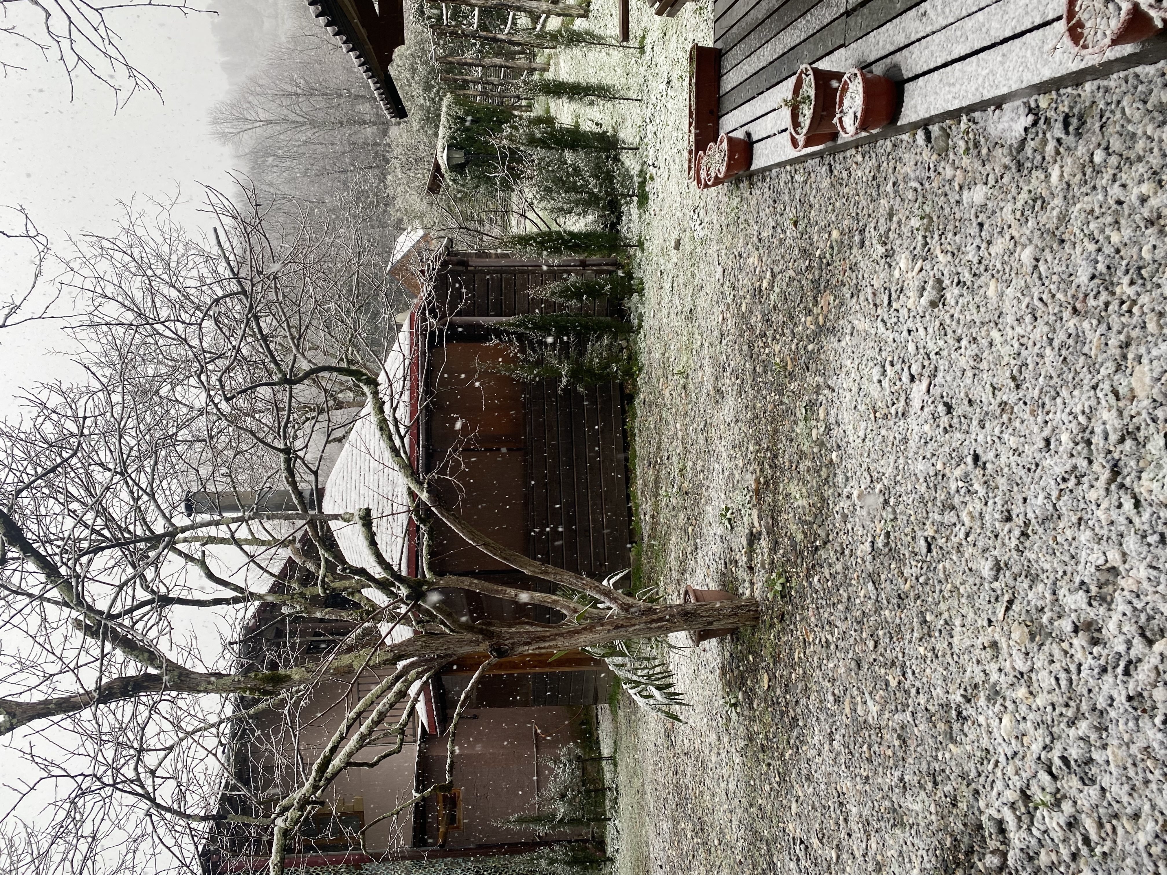 ЭКО-Глэмпинг БУНГАЛО, Гагра — фото 6