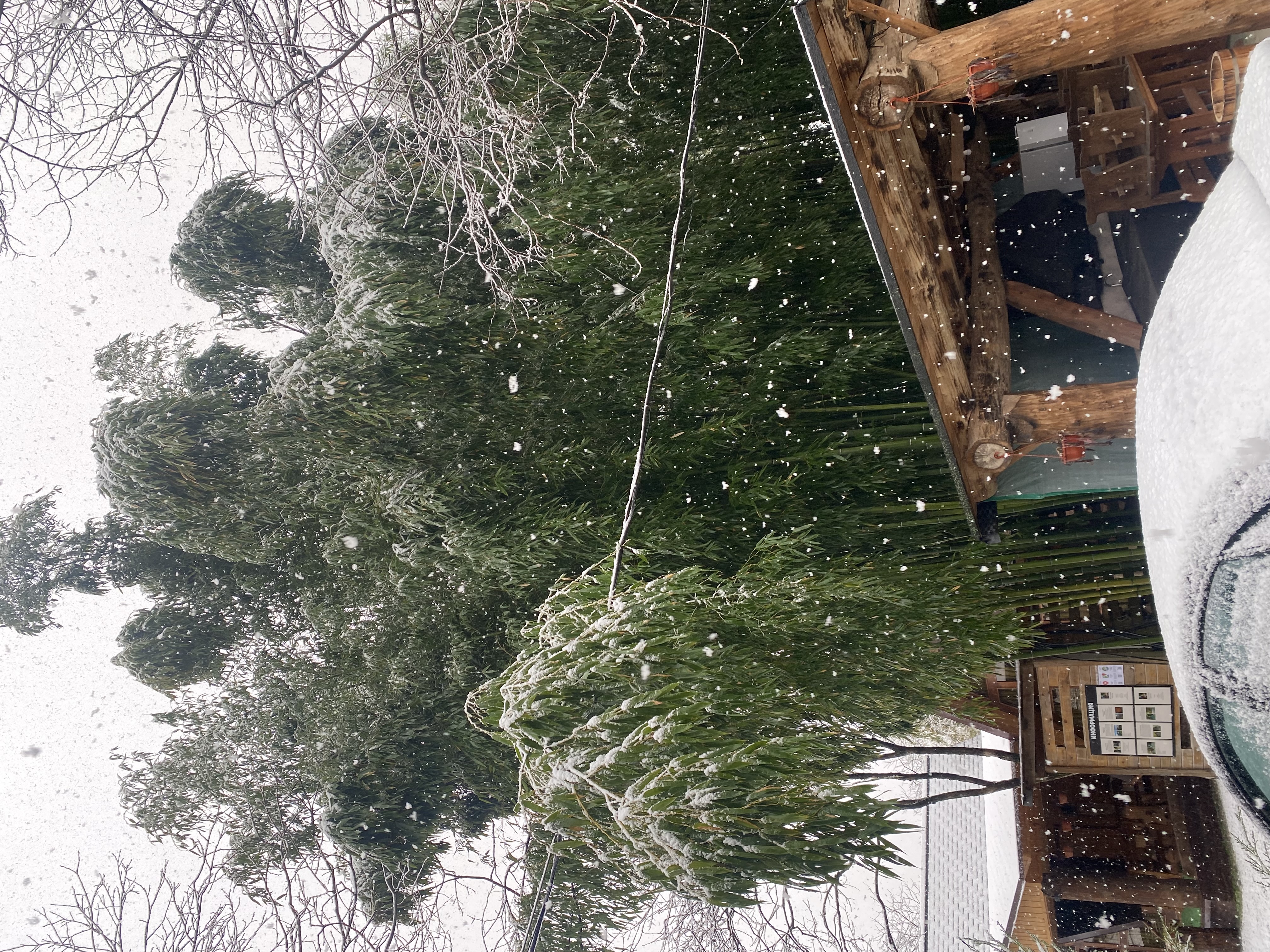 ЭКО-Глэмпинг БУНГАЛО, Гагра — фото 4