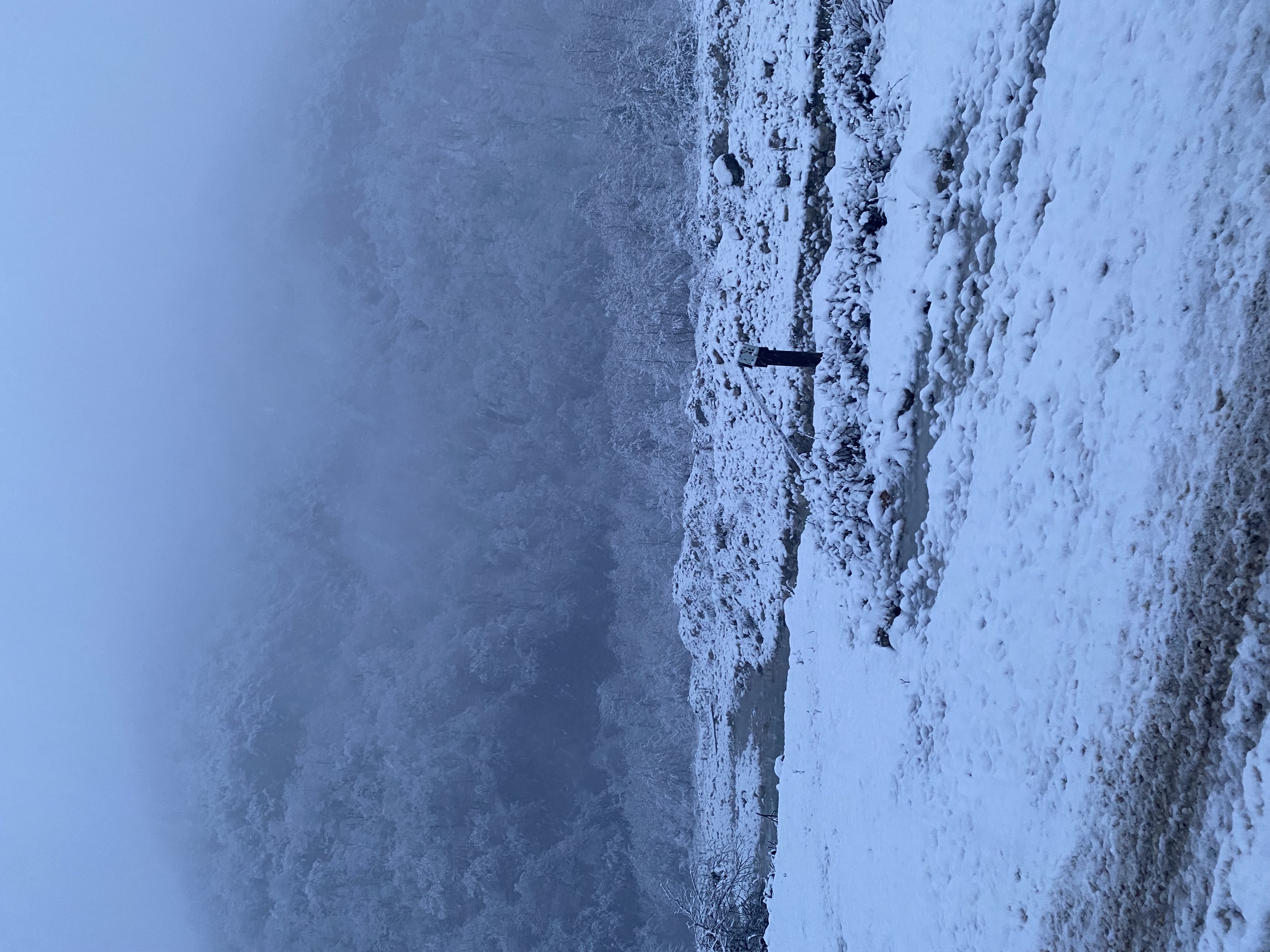 ЭКО-Глэмпинг БУНГАЛО, Гагра — фото 10