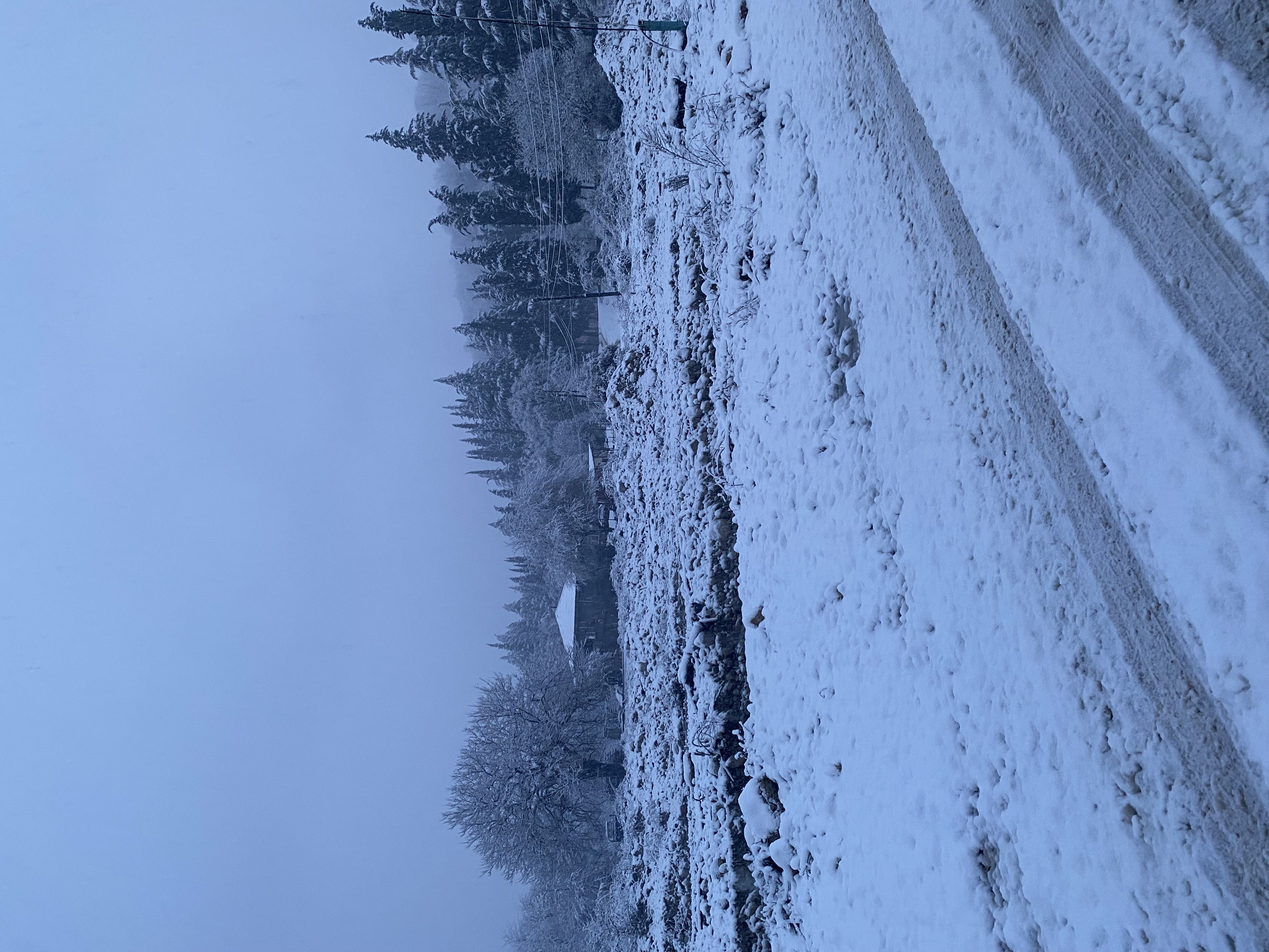 ЭКО-Глэмпинг БУНГАЛО, Гагра — фото 9