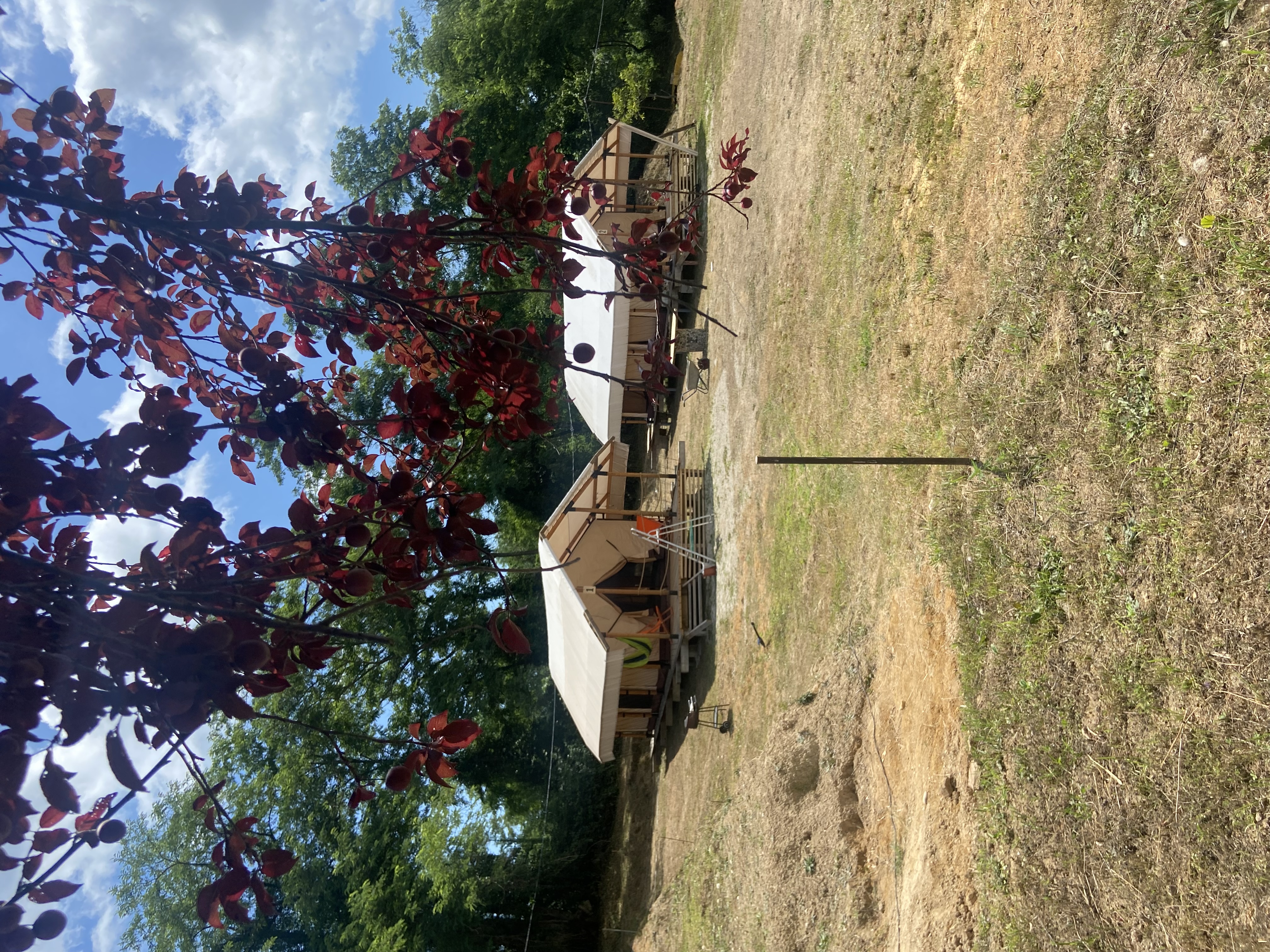 Глэмпинг Лыхны-Парк, Гудаута — фото 14