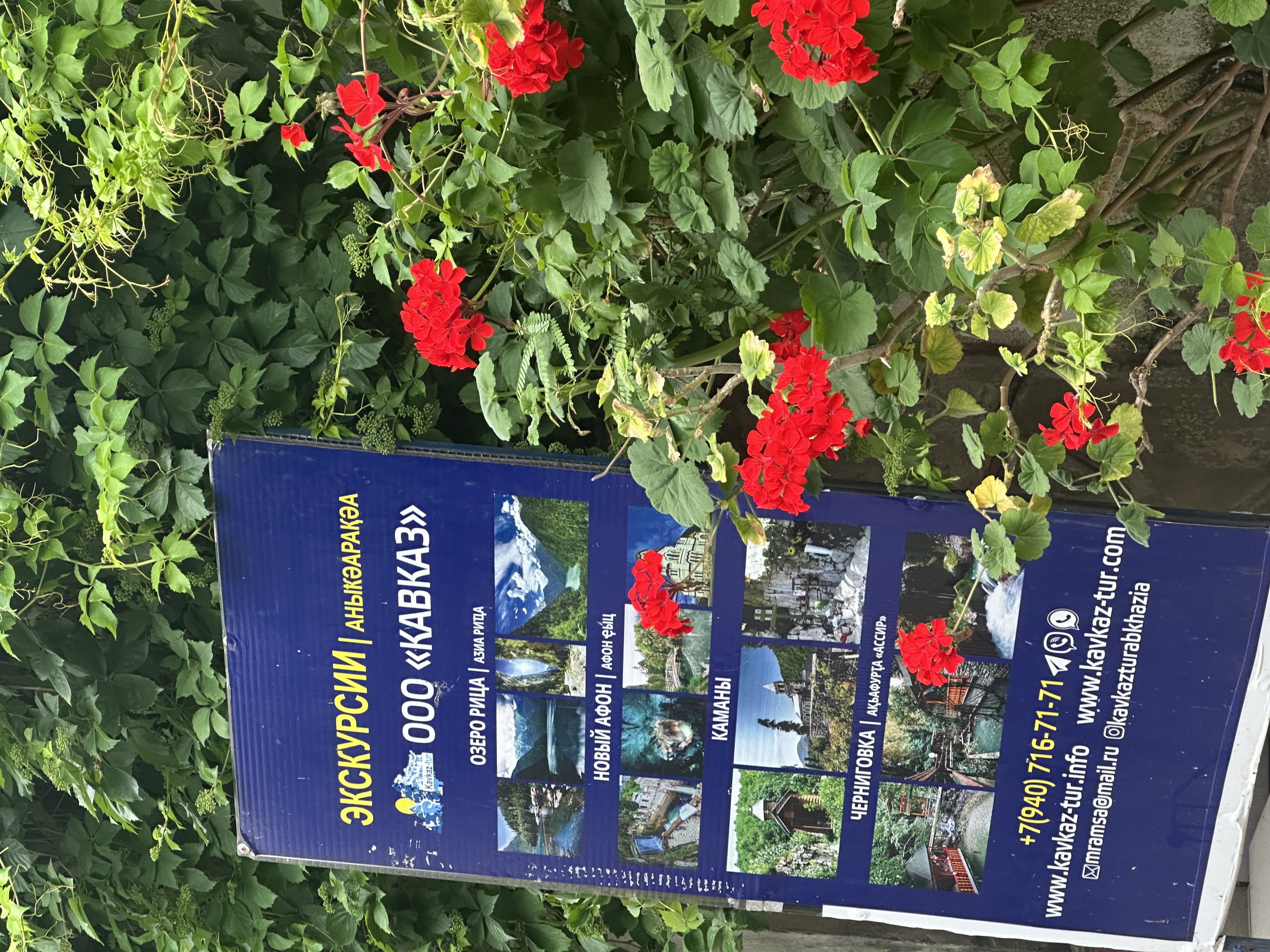 Гостевой дом Ассири, Гагра — фото 7