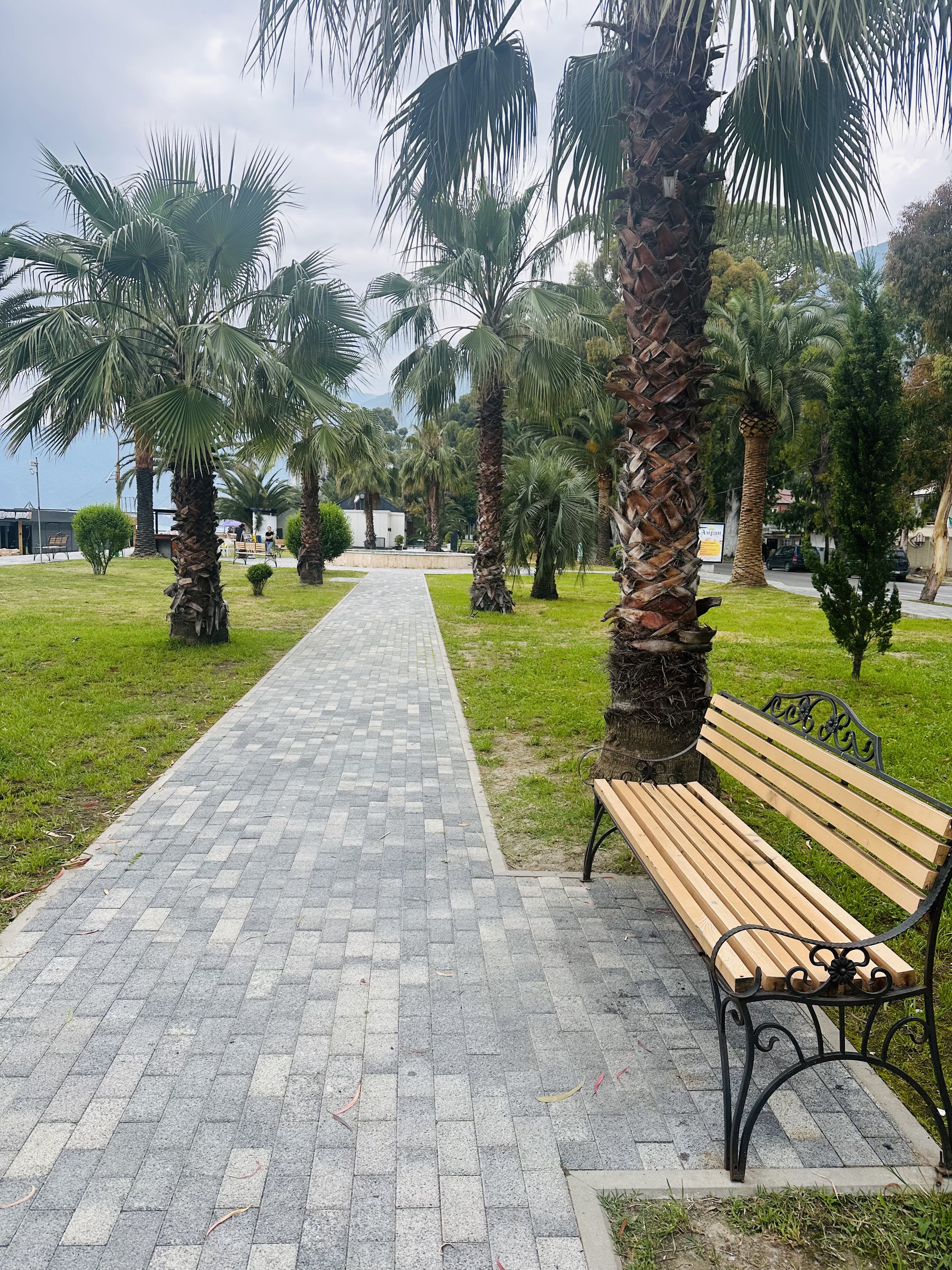 Гостевой дом Ассири, Гагра — фото 27