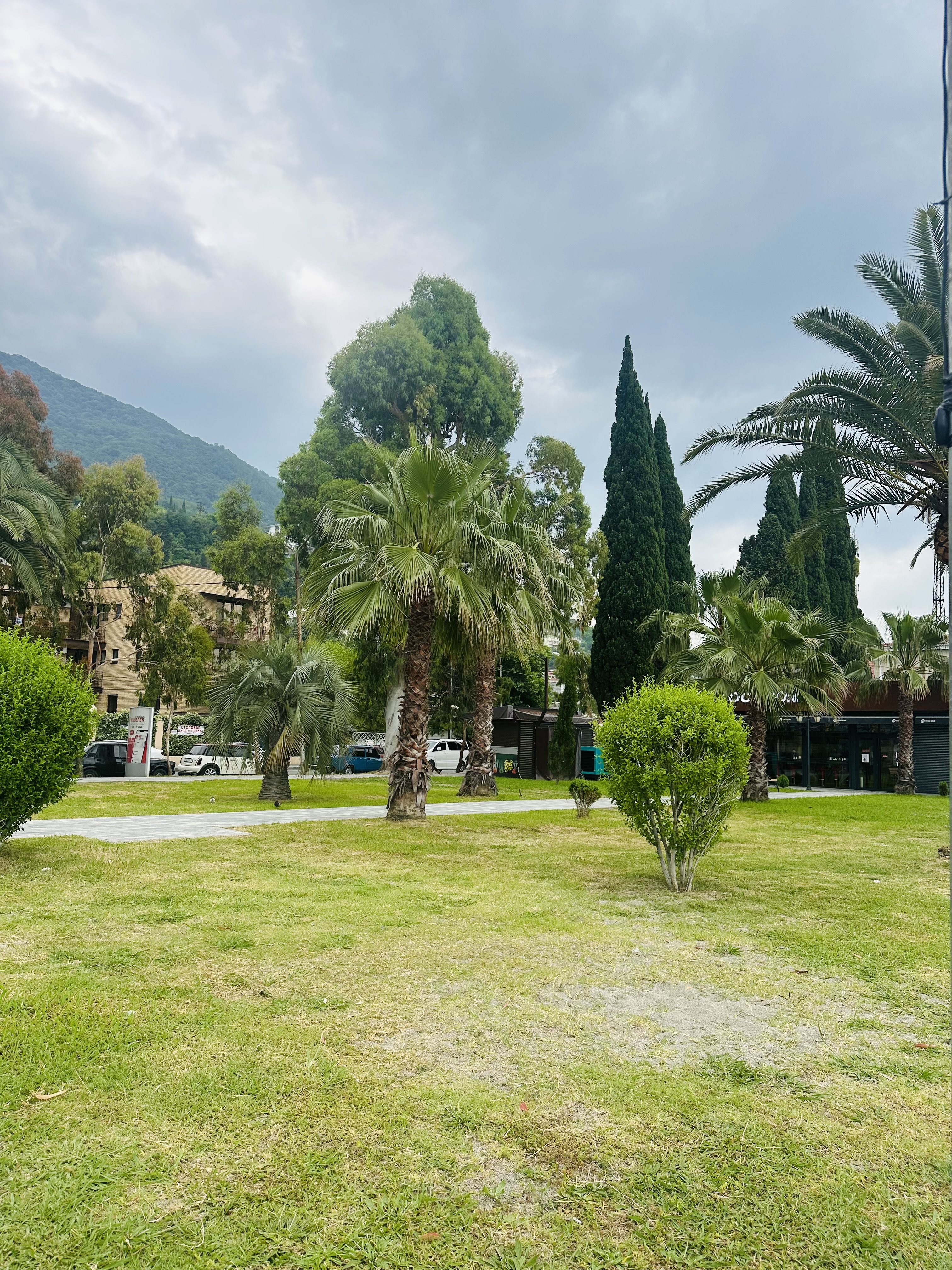 Гостевой дом Ассири, Гагра — фото 23