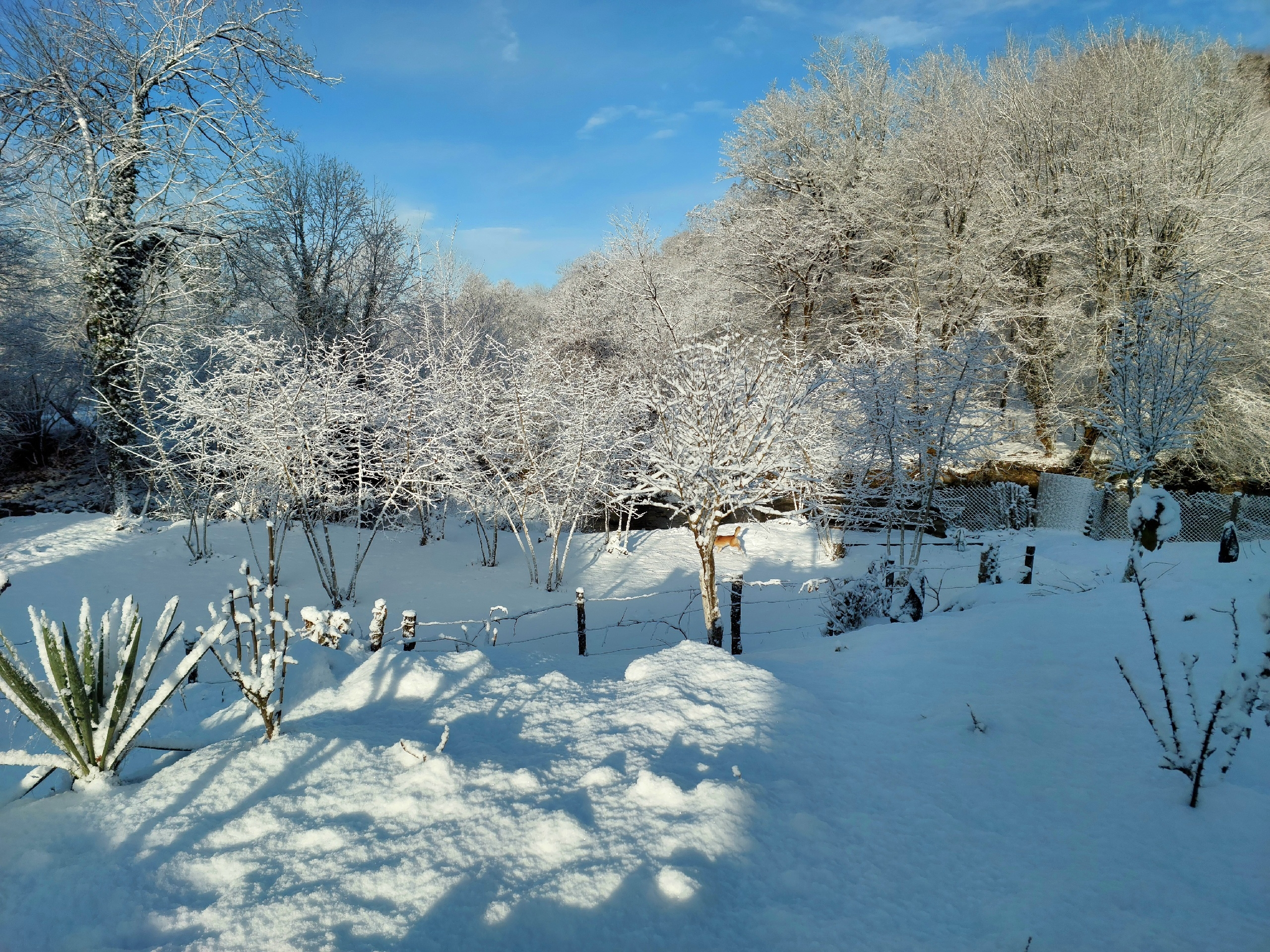 Гостевой Дом на Геджирке, Ткуарчал — фото 9