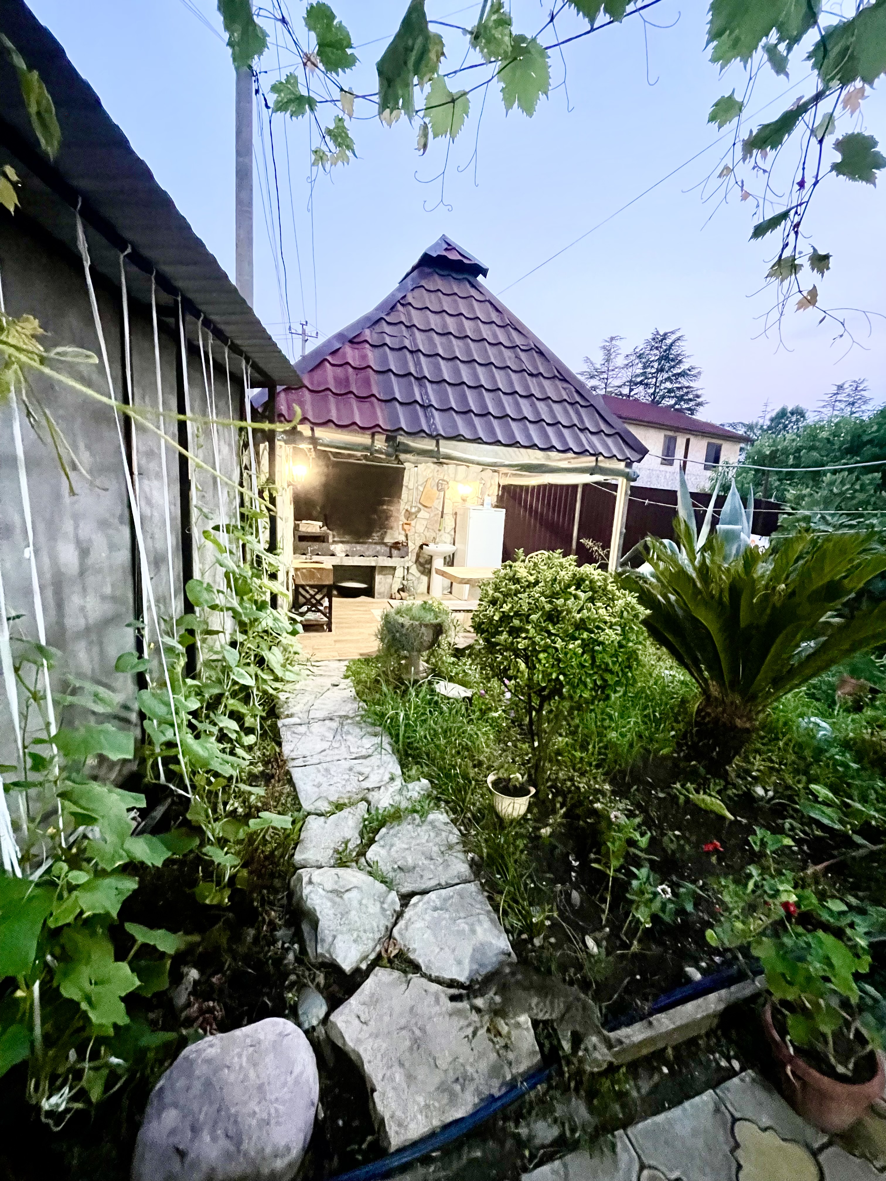 AMZA-АМЗА, Цандрипш — фото 21