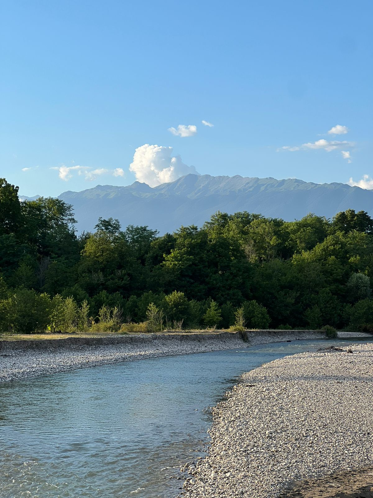 Aapsta Village, Гудаута — фото 7