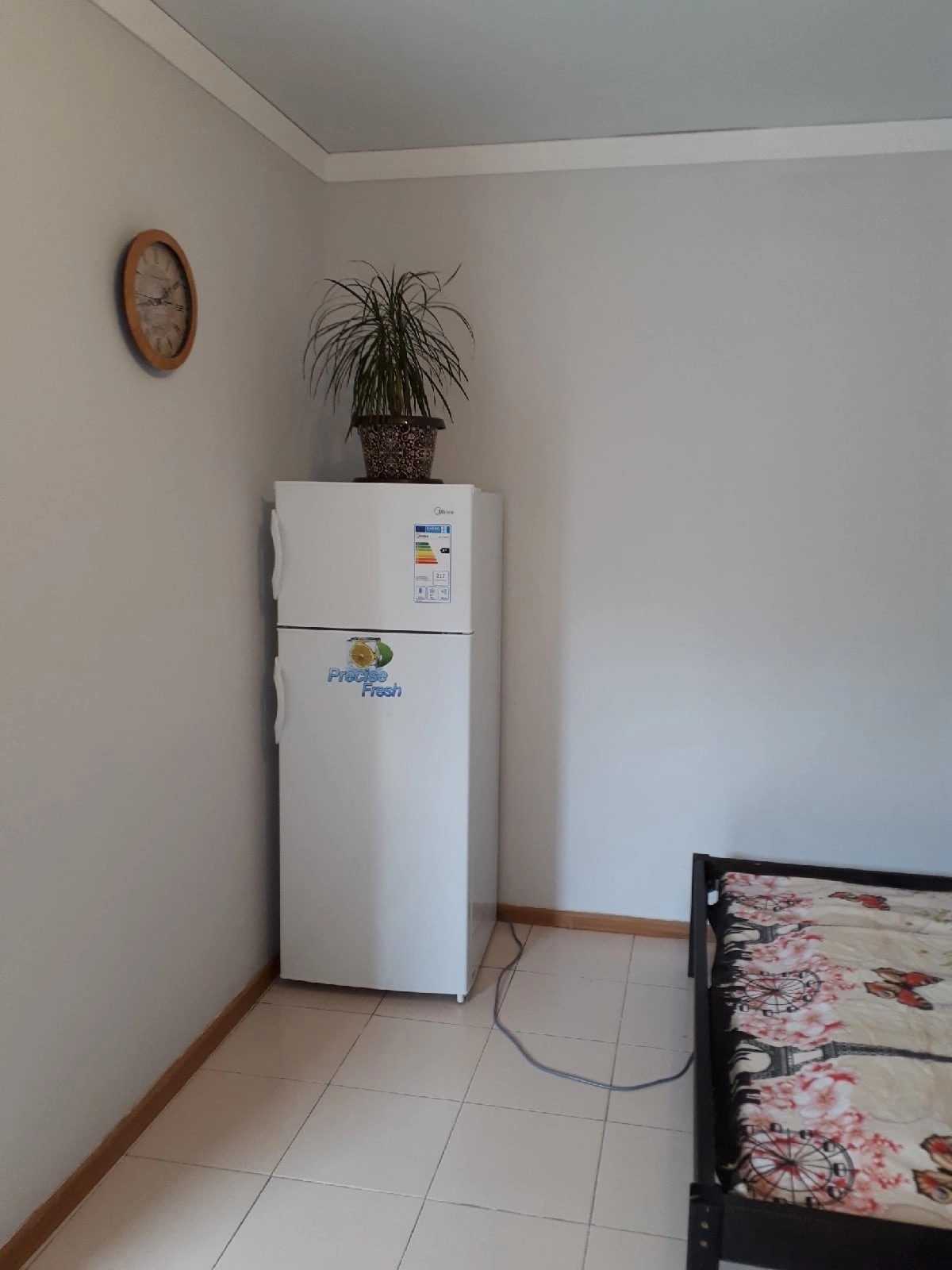 "Свои да Наши", Сухум — фото 3