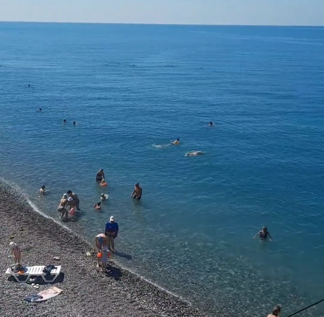 АШАНА, Пицунда — фото 5