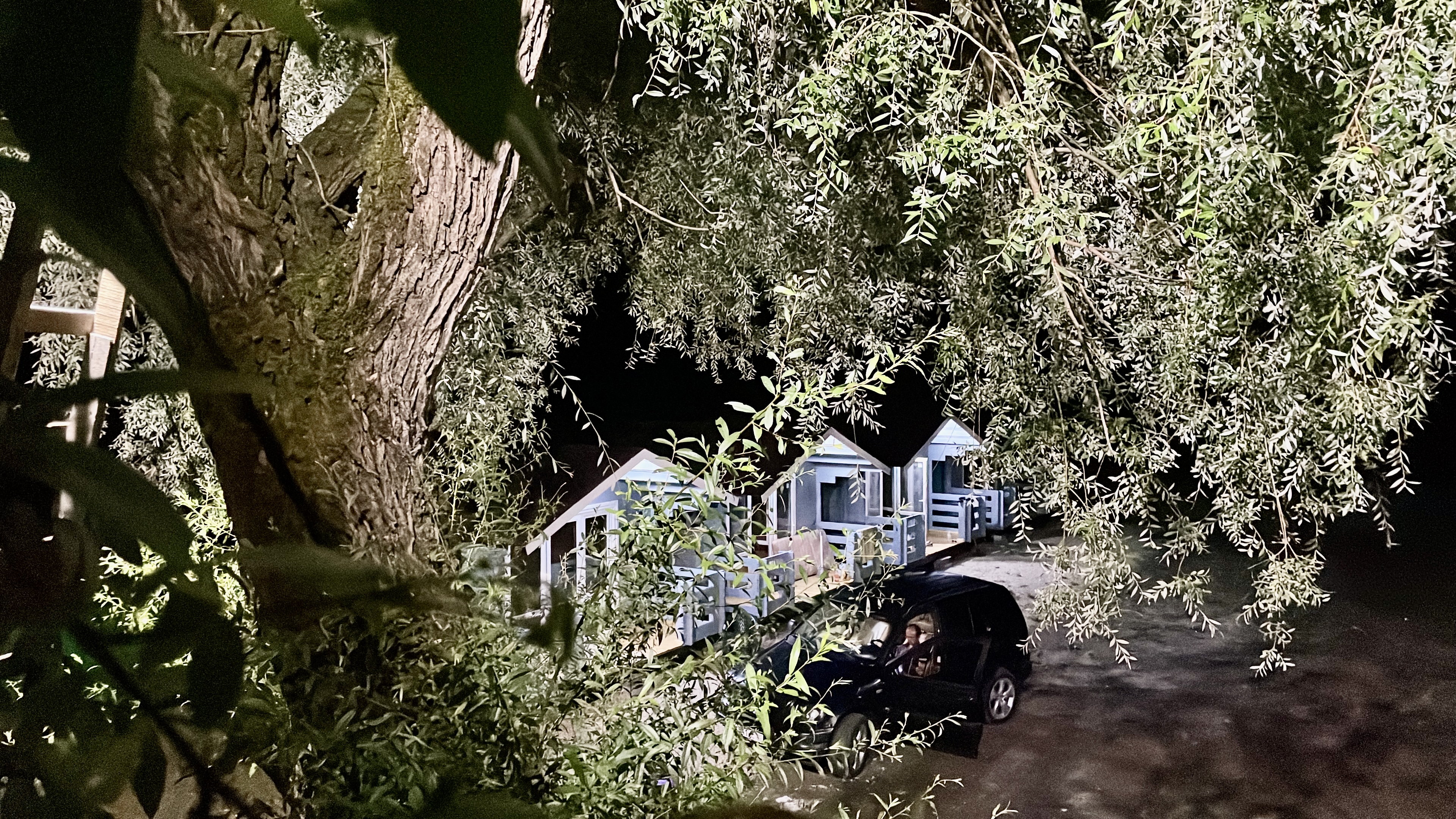 Aapsta Village, Гудаута — фото 10