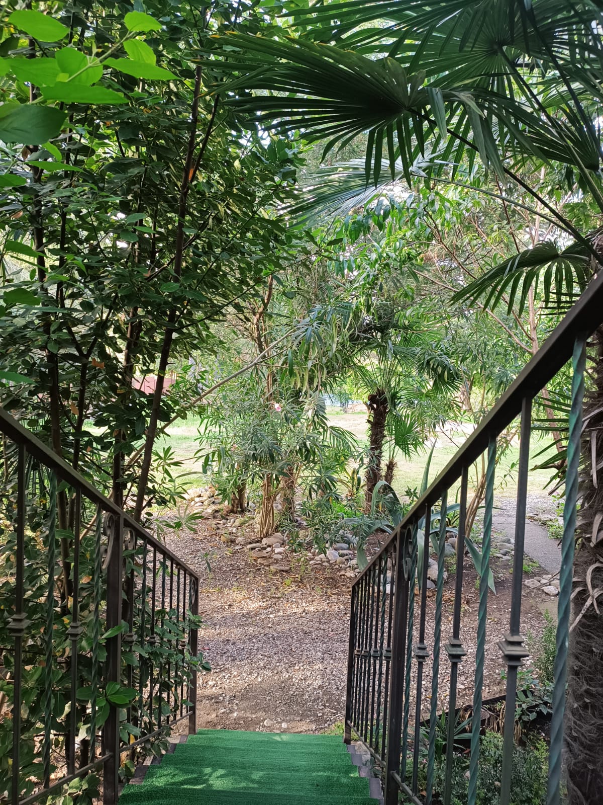 Гостевой Дом Инкит, Пицунда — фото 3