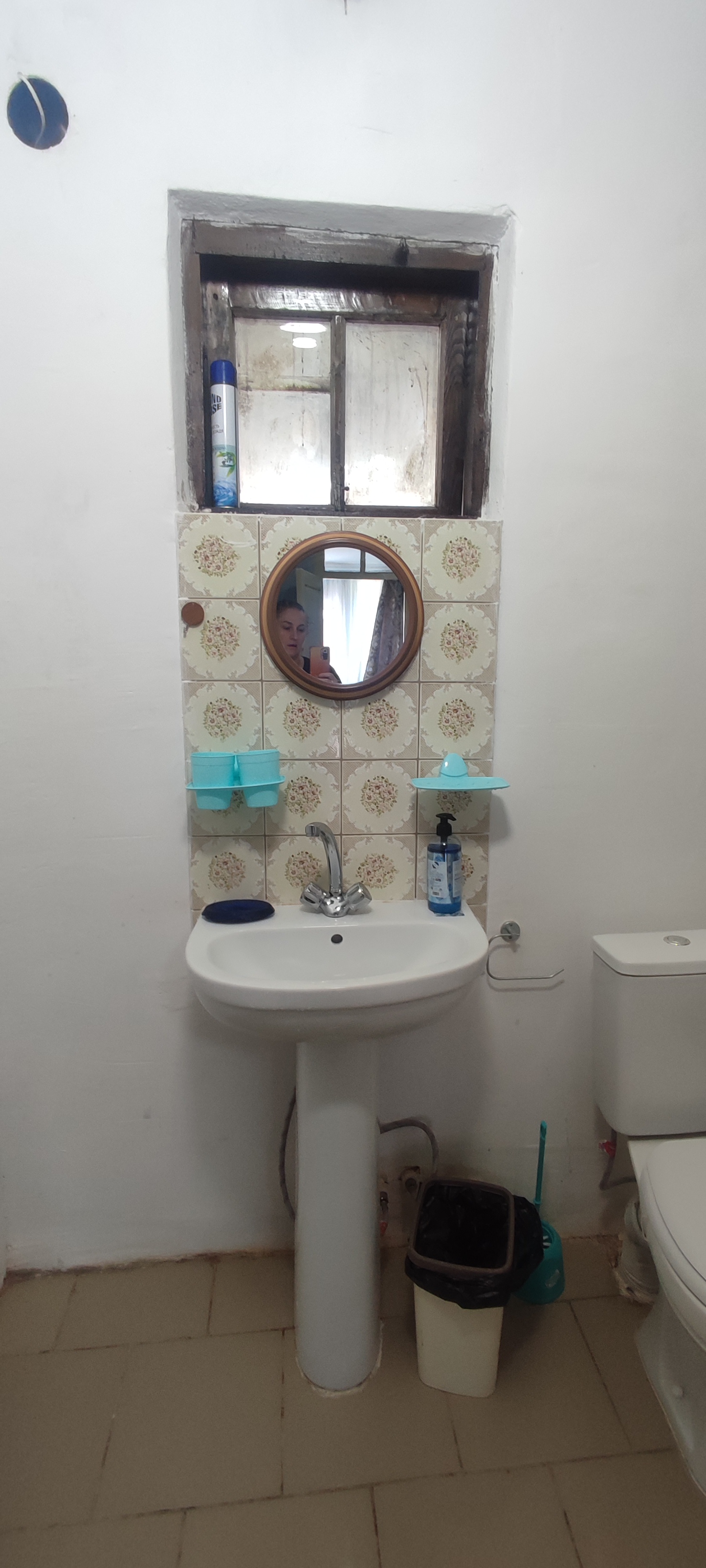 Базилик, Алахадзы — фото 7