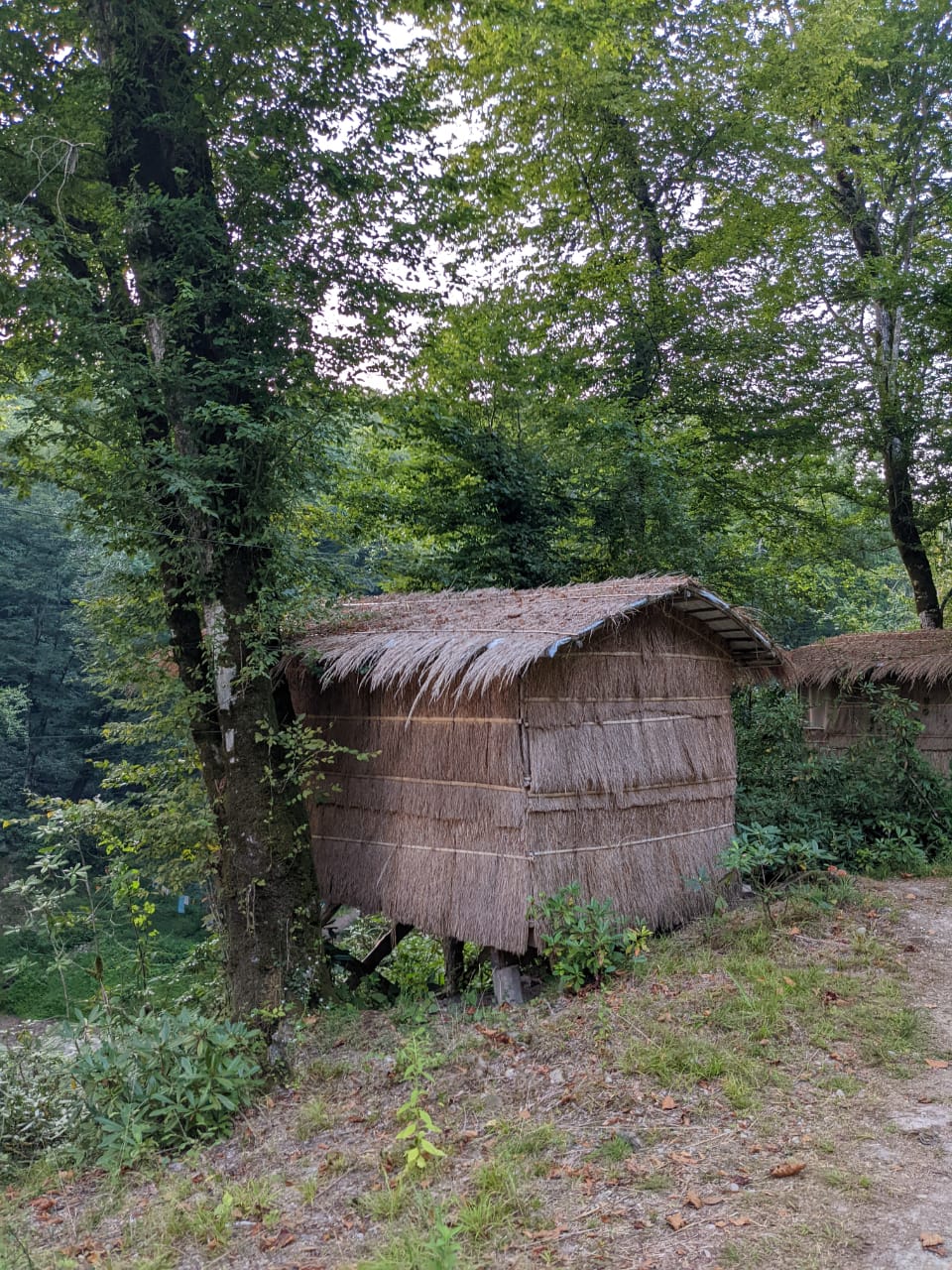 Шлыпра - кемпинг в Третьем ущелье, Пицунда — фото 5