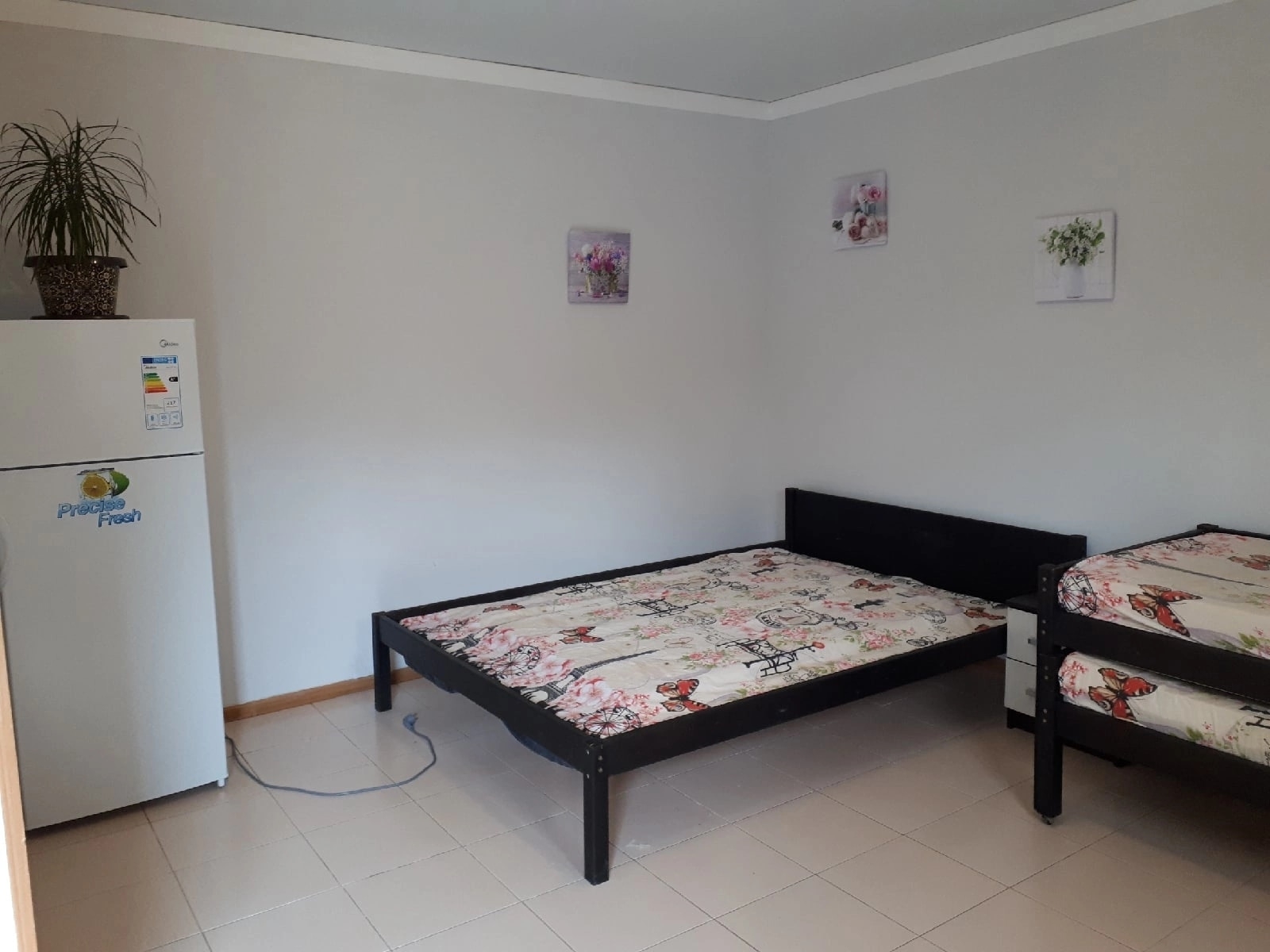 "Свои да Наши", Сухум — фото 10