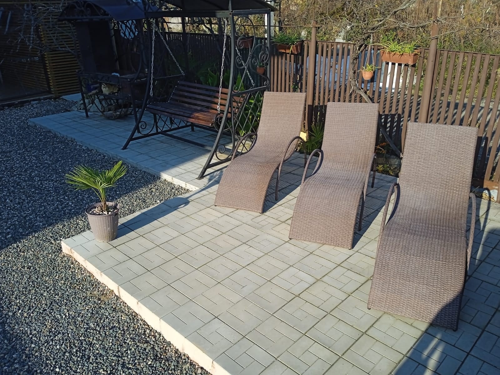 "Свои да Наши", Сухум — фото 13