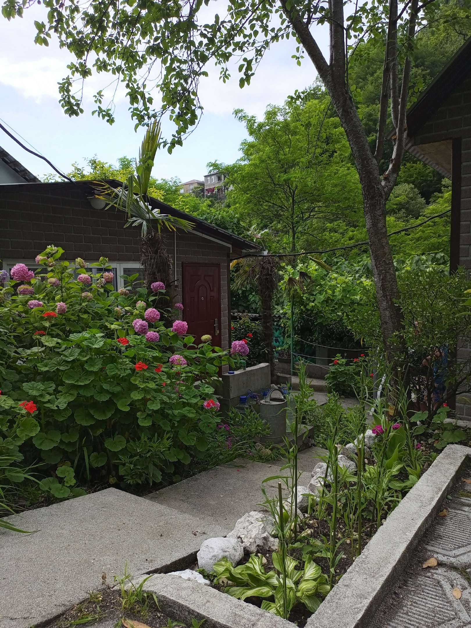 Гостевой дом Цыхерва, Гагра — фото 1