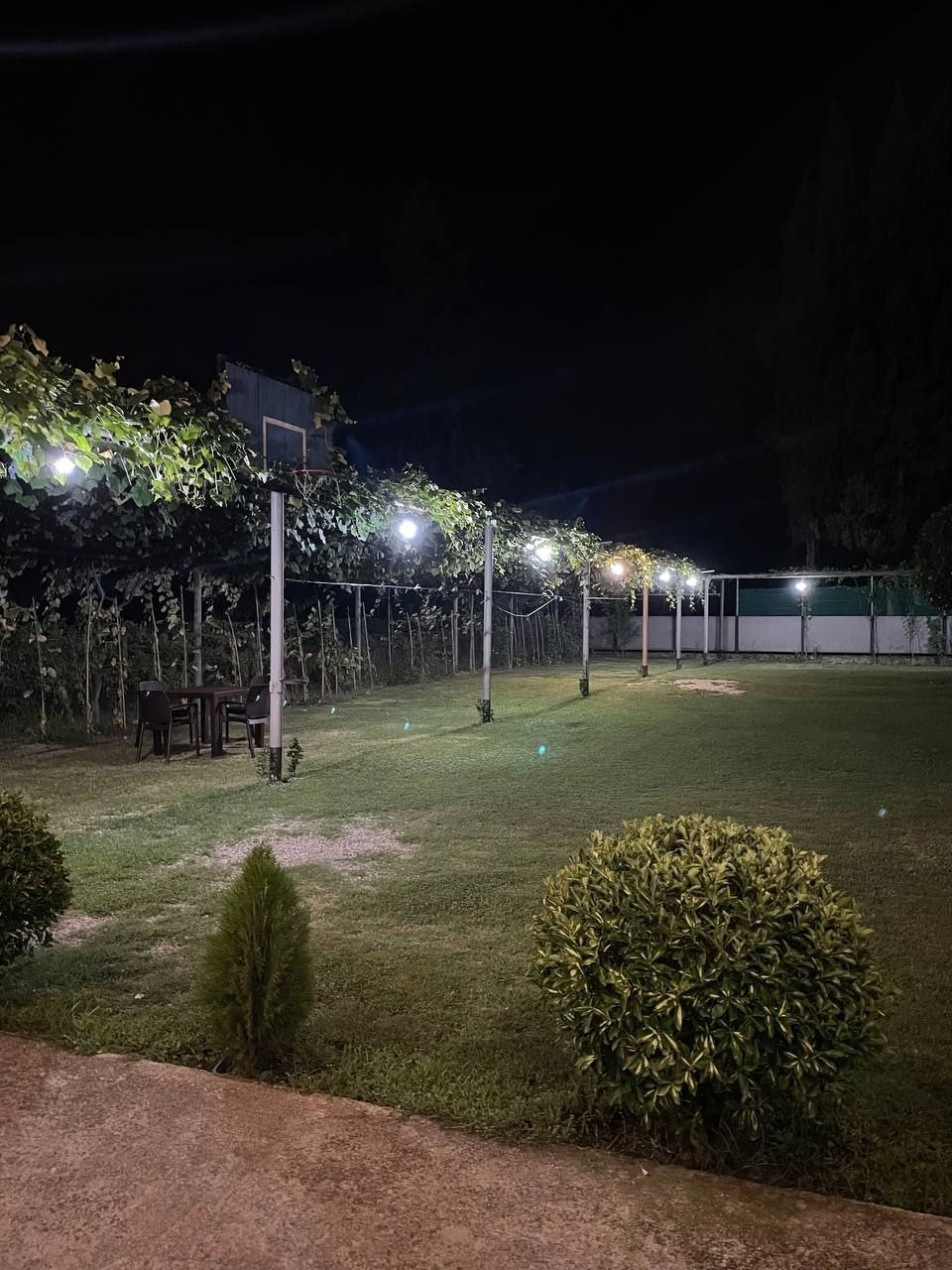 House Diamond, Гудаута — фото 4