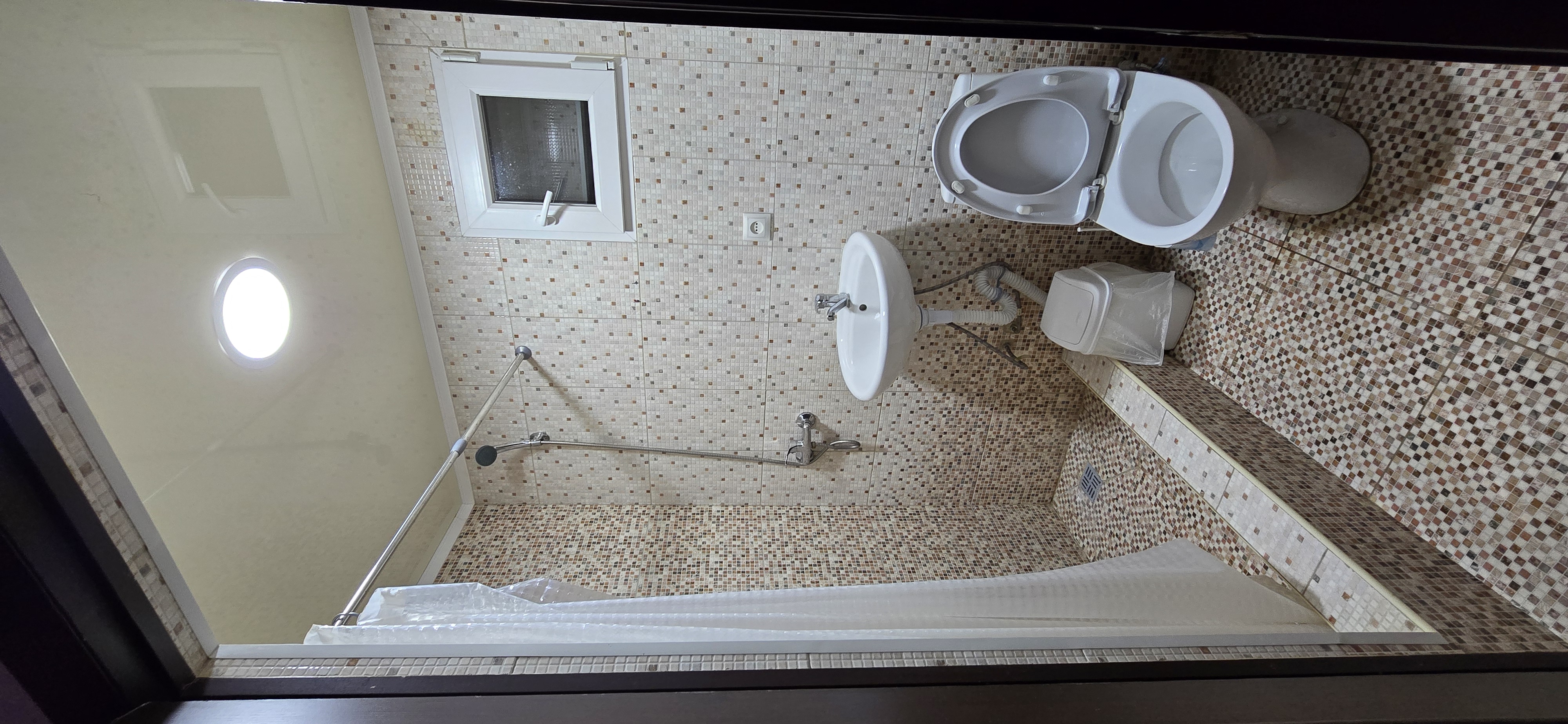 В тени  киви, Сухум — фото 7