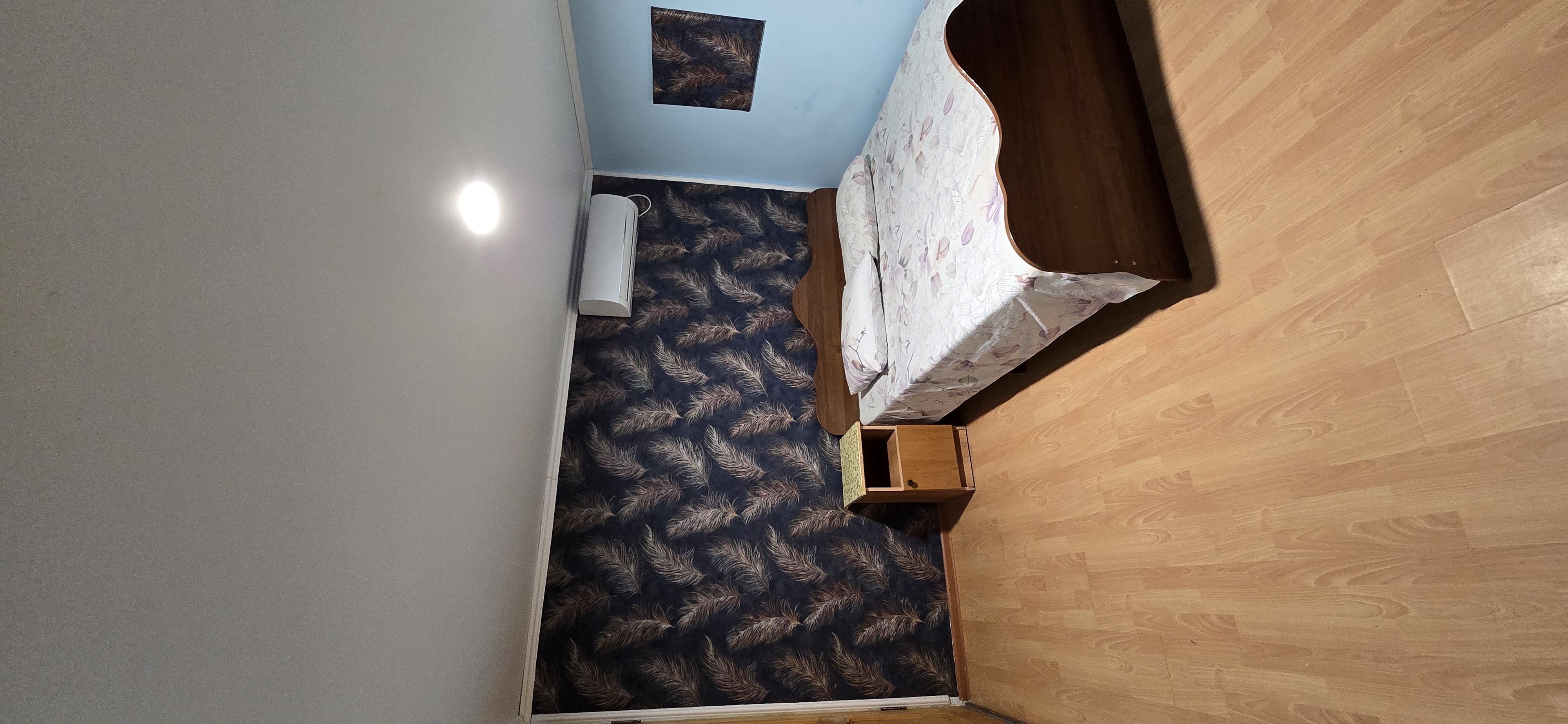 В тени  киви, Сухум — фото 8