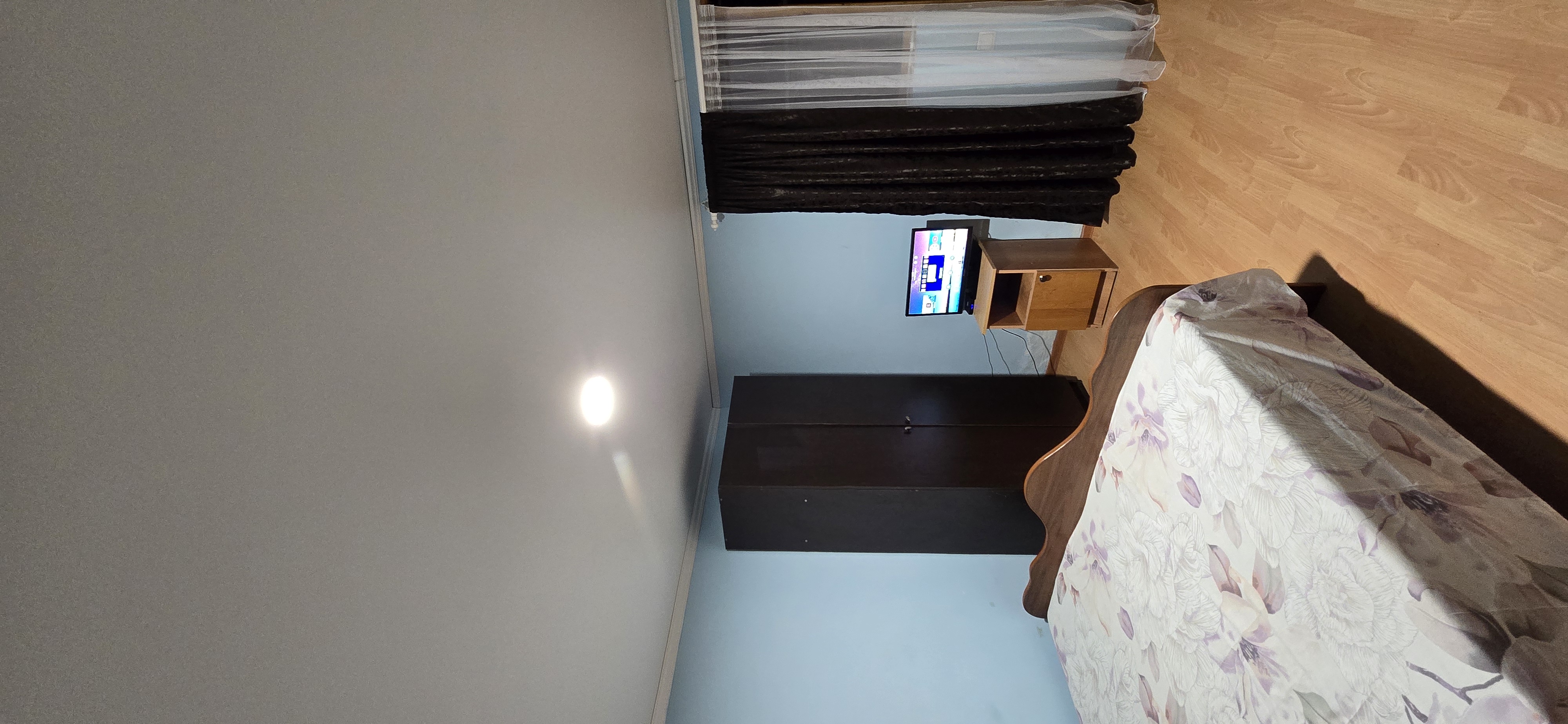 В тени  киви, Сухум — фото 9