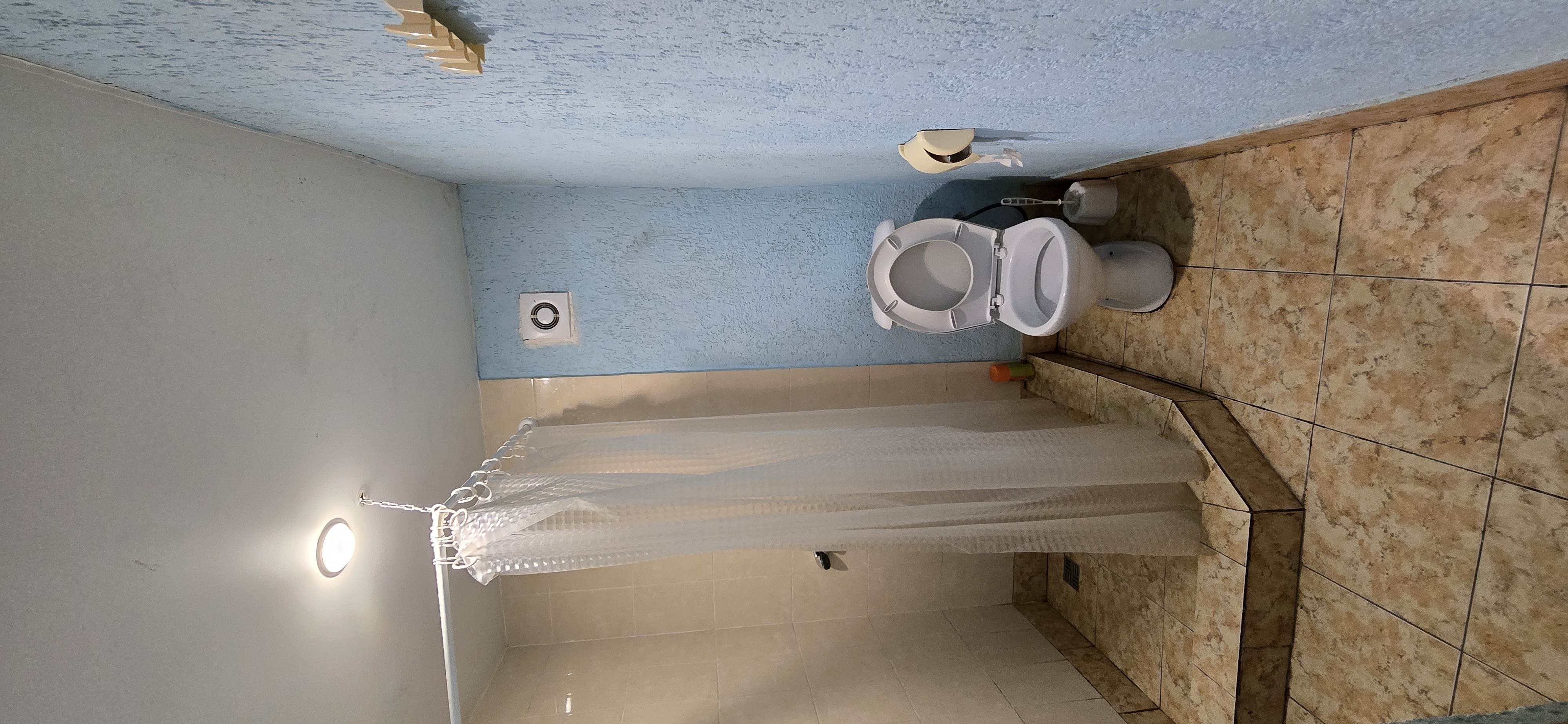 В тени  киви, Сухум — фото 10