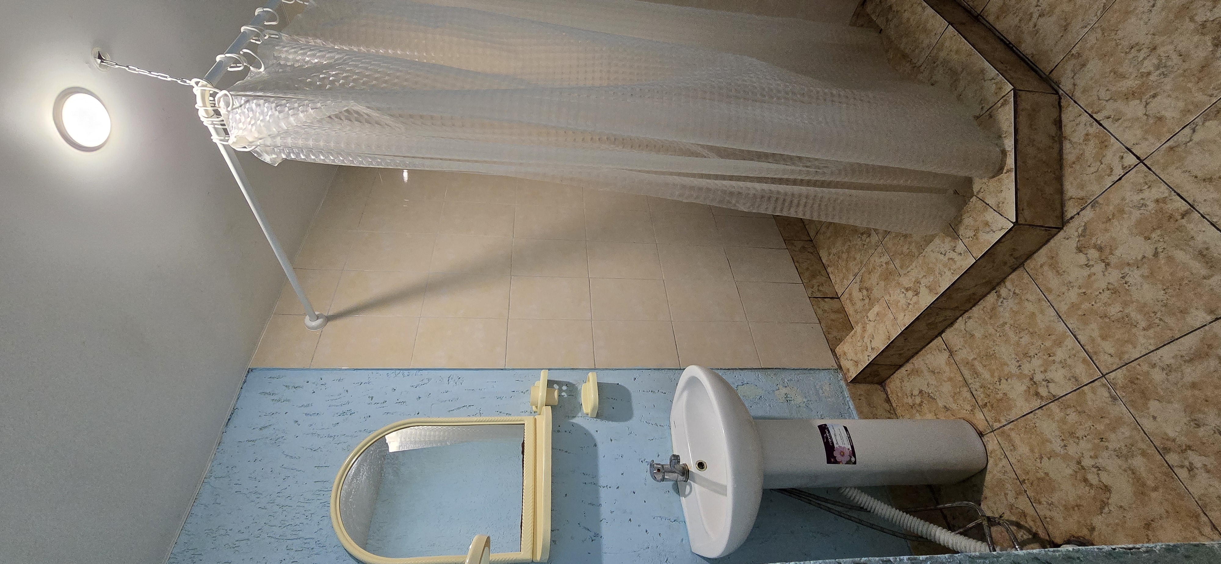 В тени  киви, Сухум — фото 11