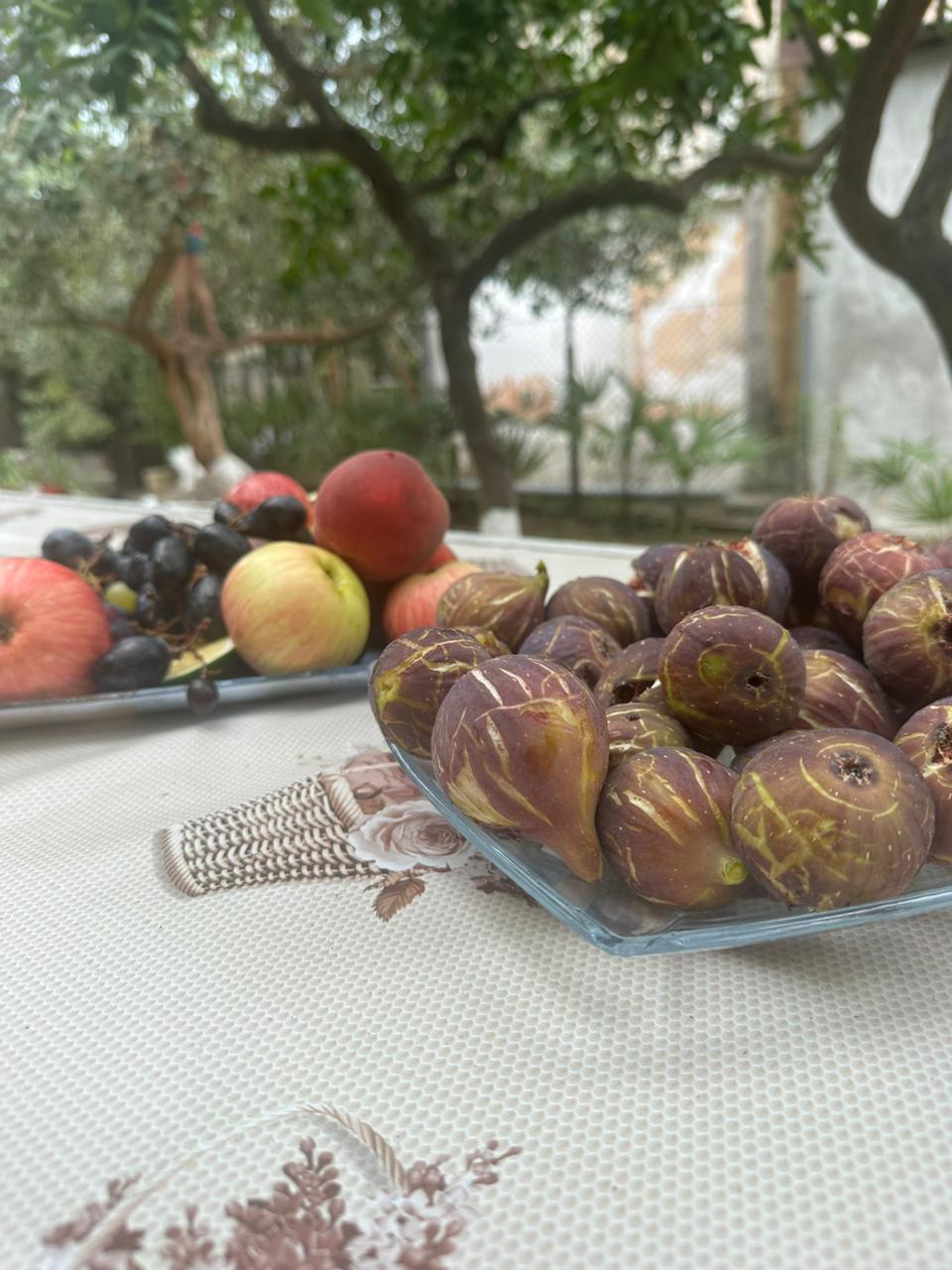 Hotel Pecan, Гудаута — фото 14