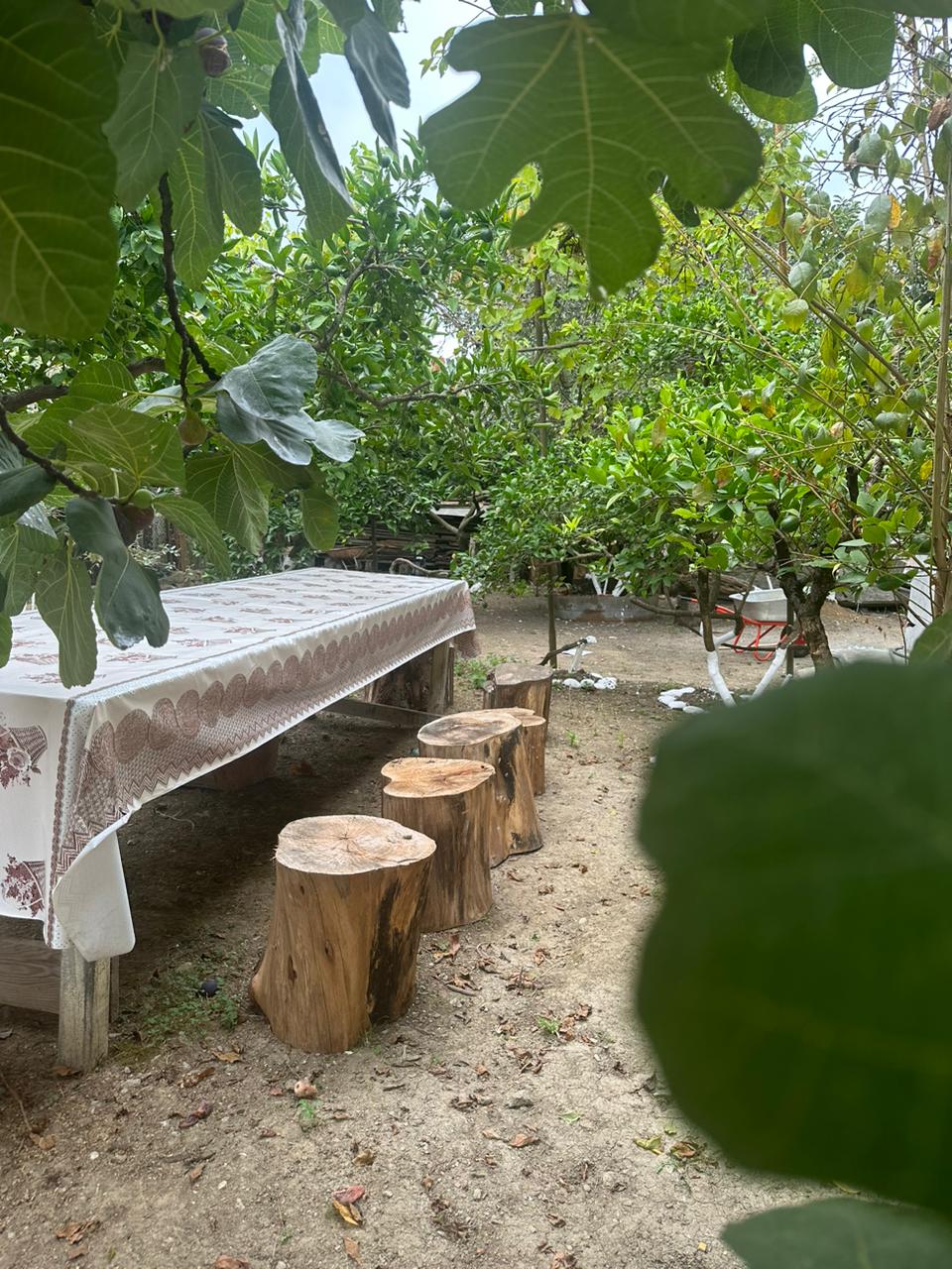 Hotel Pecan, Гудаута — фото 13