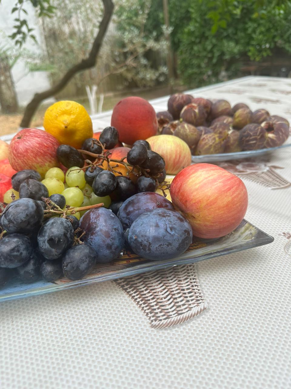 Hotel Pecan, Гудаута — фото 12