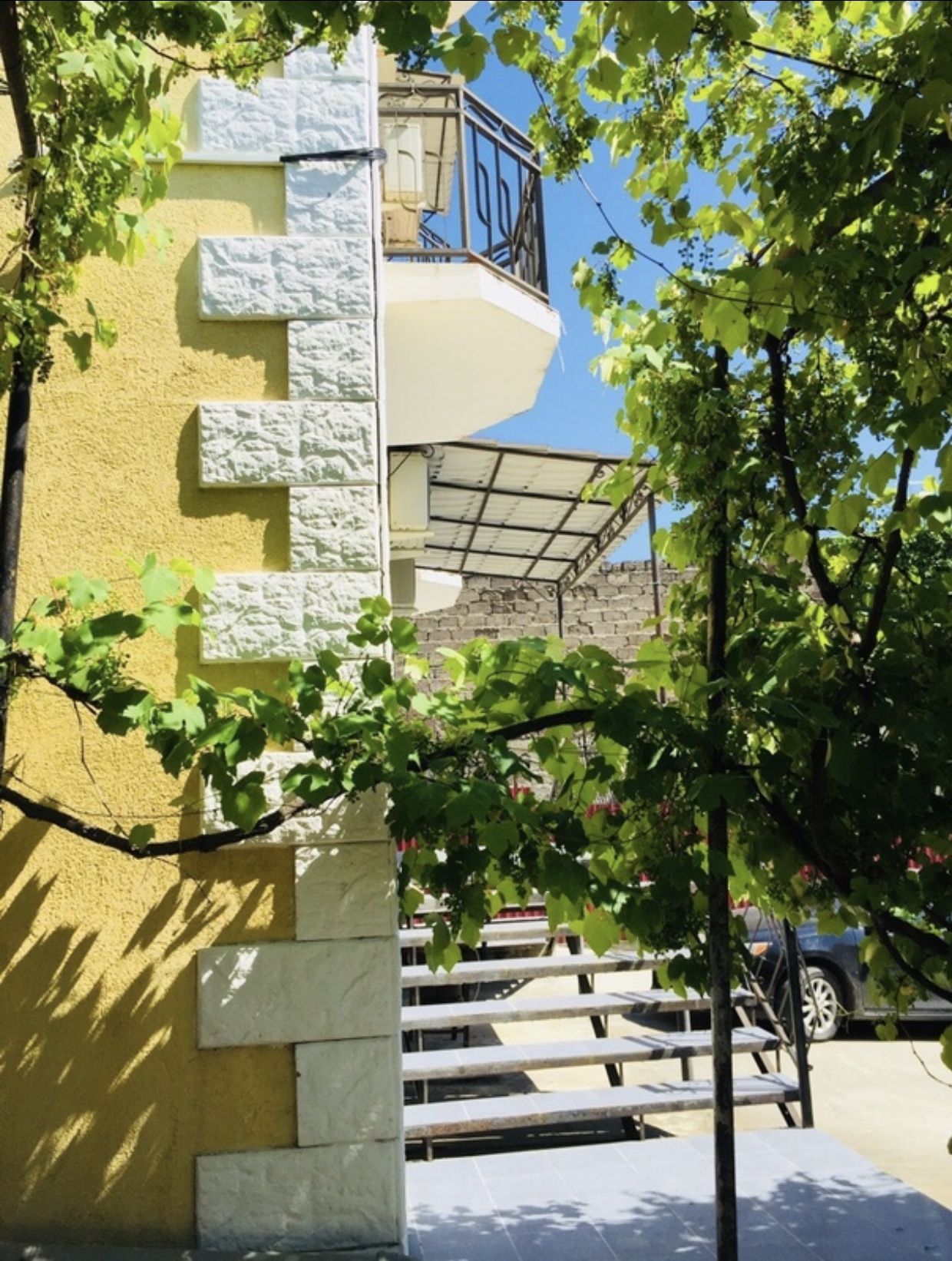 Мандариновый сад, Гагра — фото 12