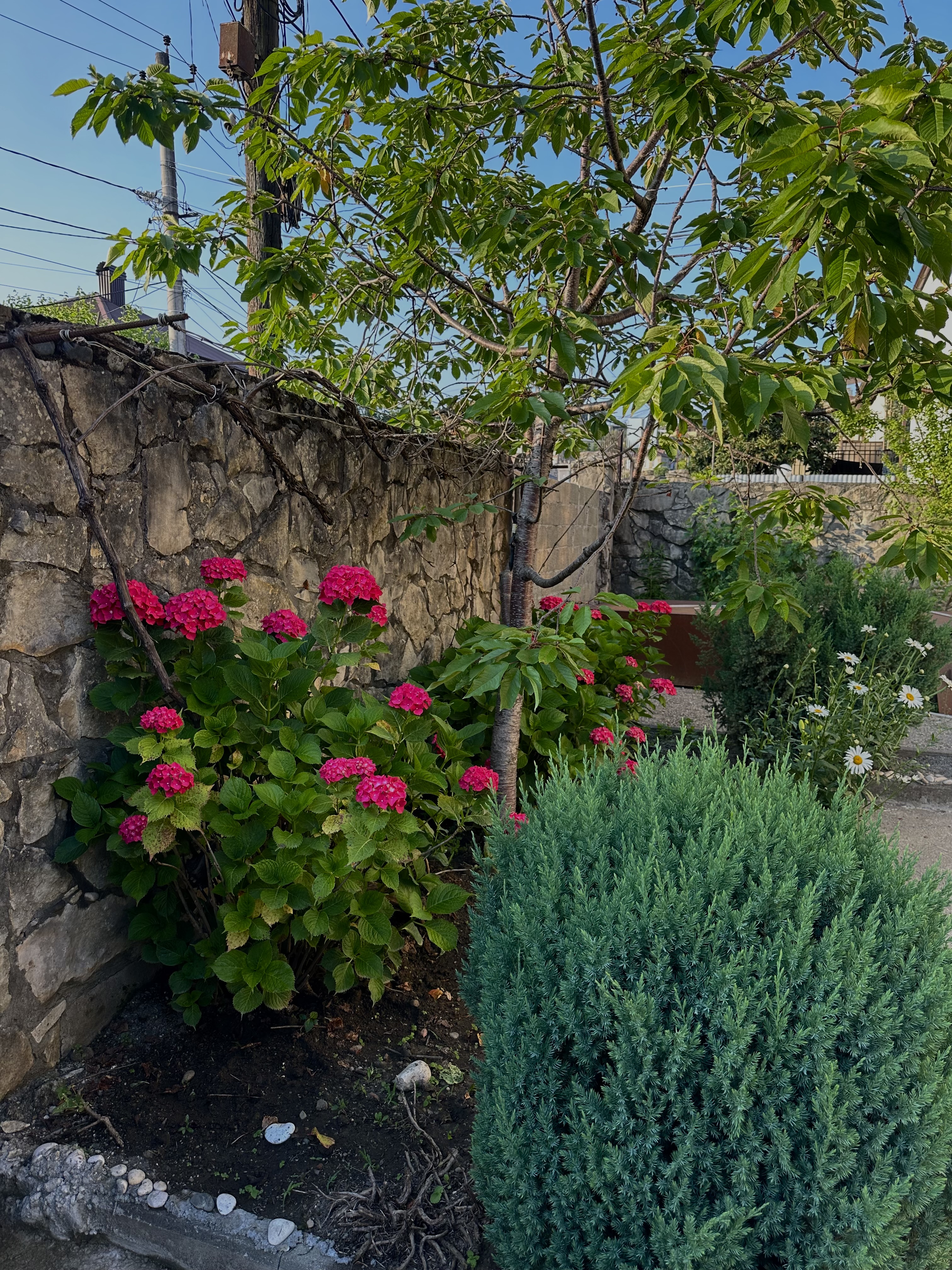 Гостевой дом, Сухум, Турбаза — фото 1