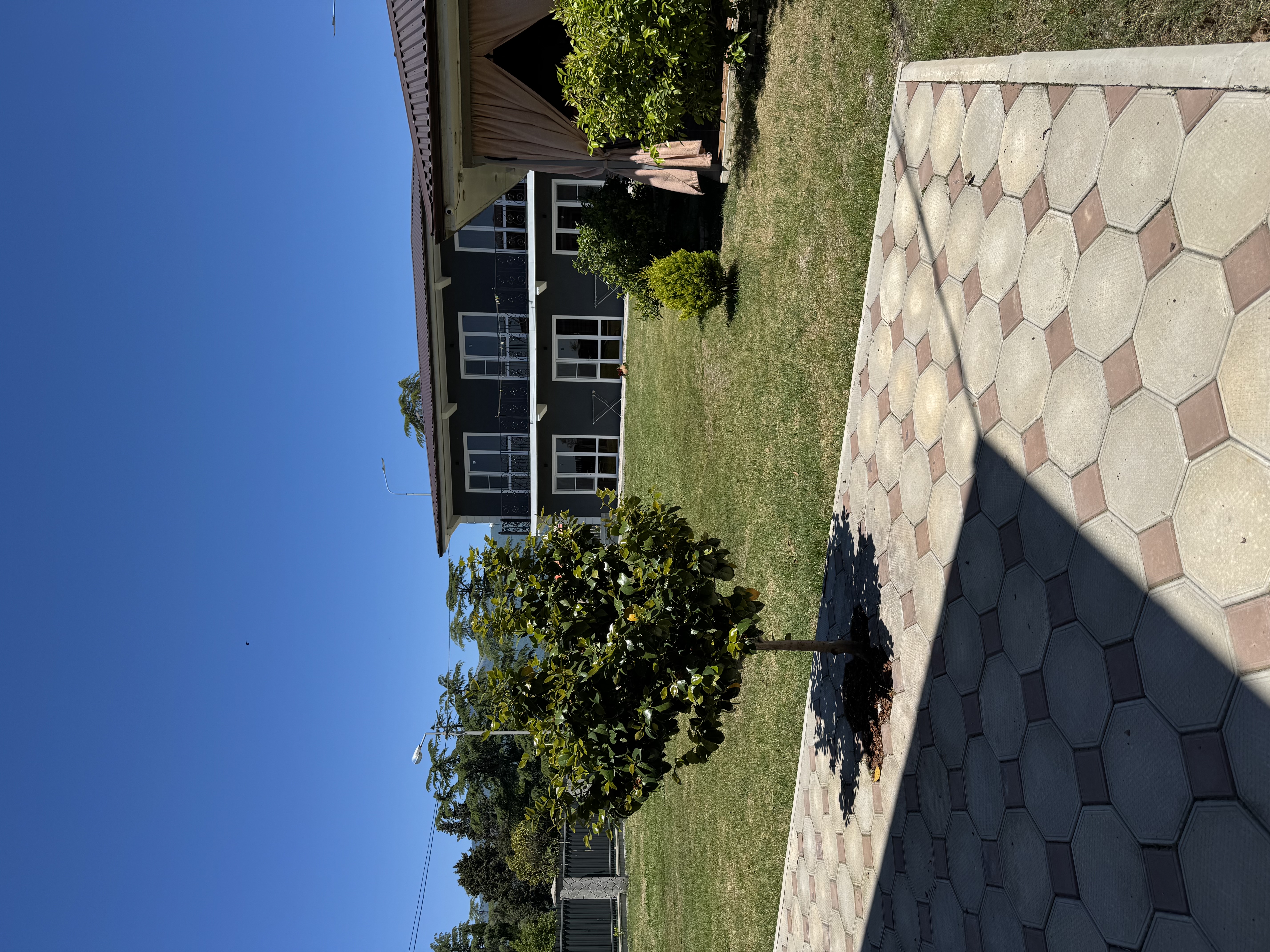 АШАНА, Пицунда — фото 8