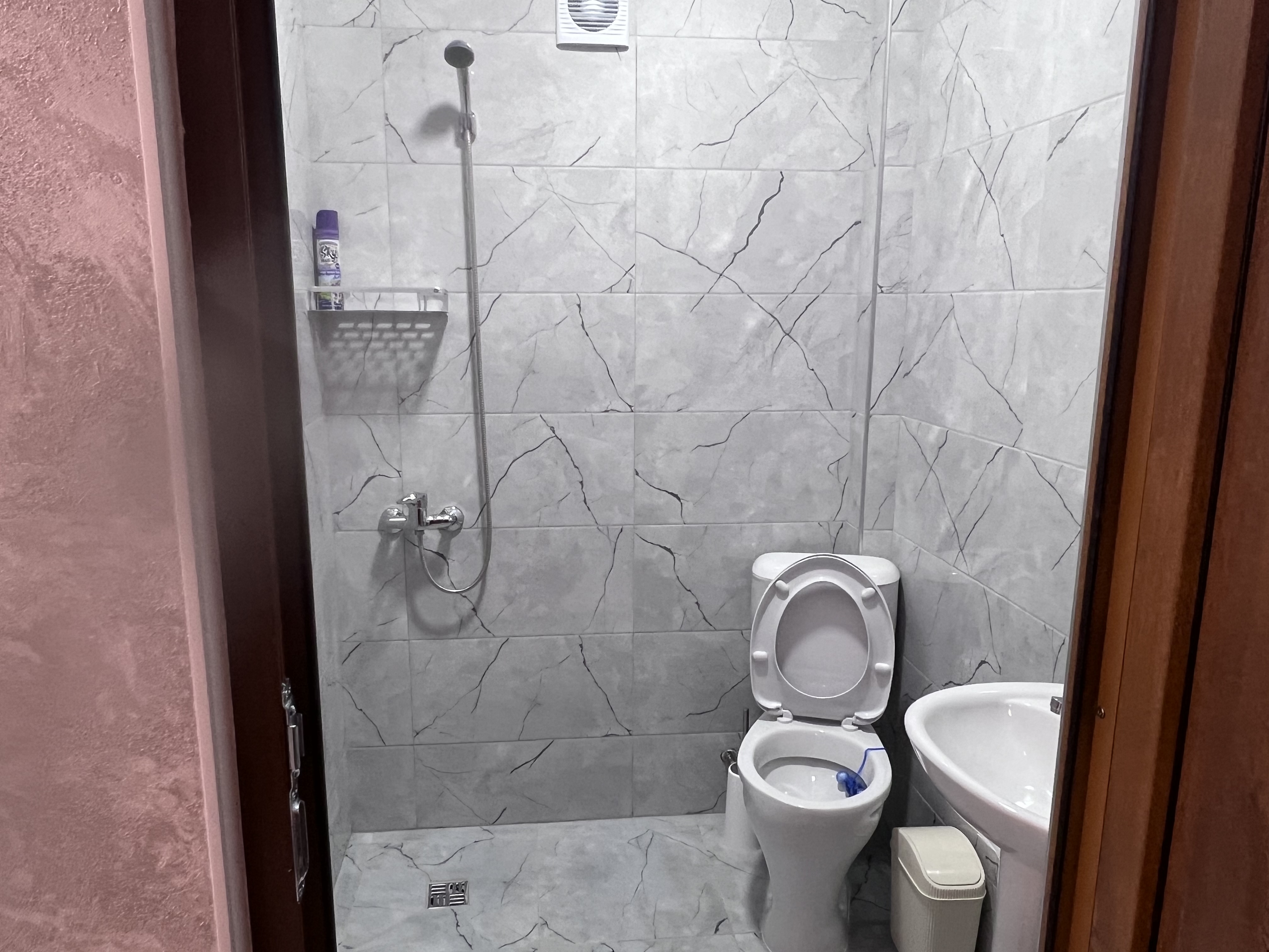 Гостевой дом у Сони, Гагра — фото 4