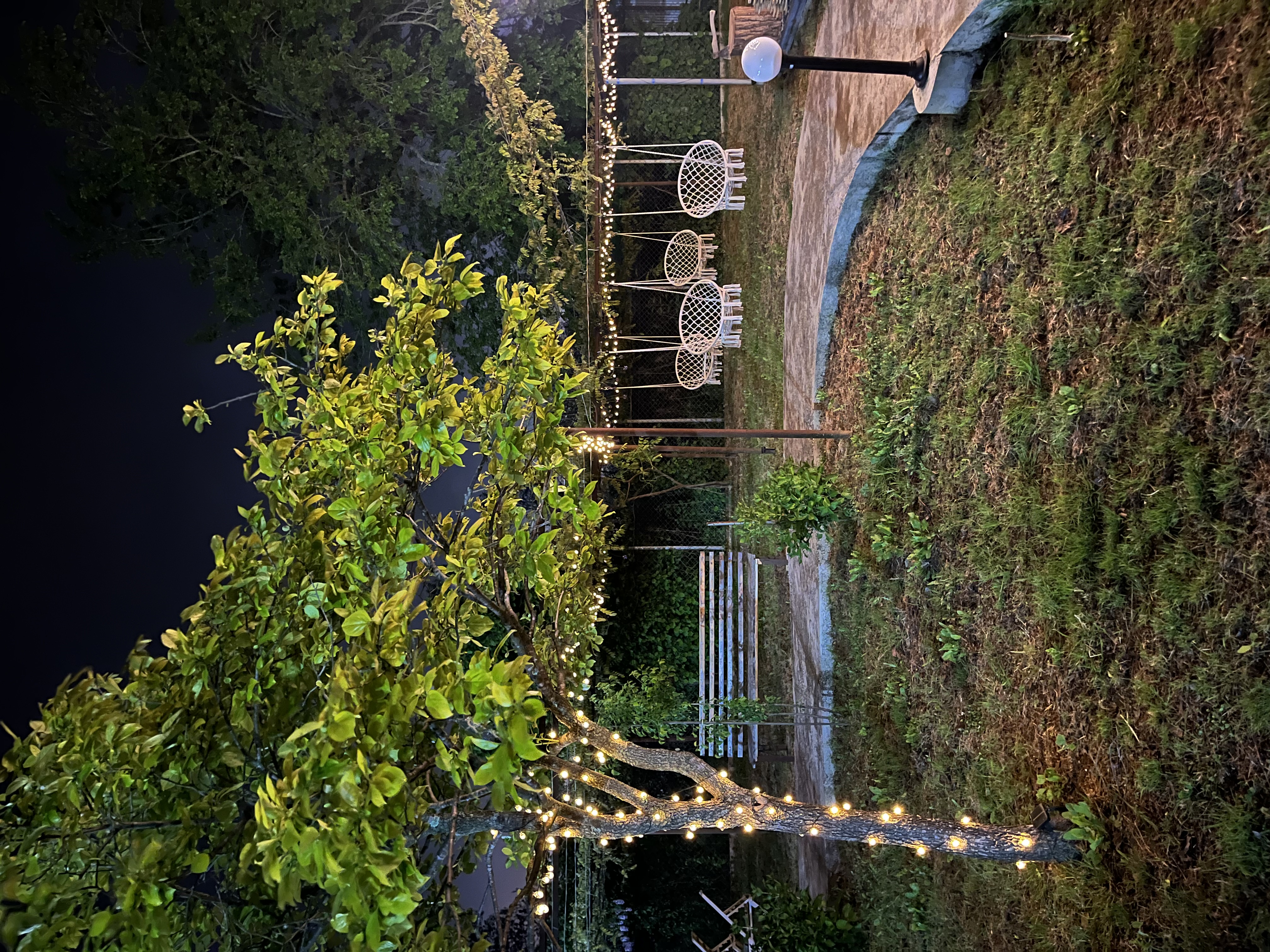 Море, Сухум — фото 9