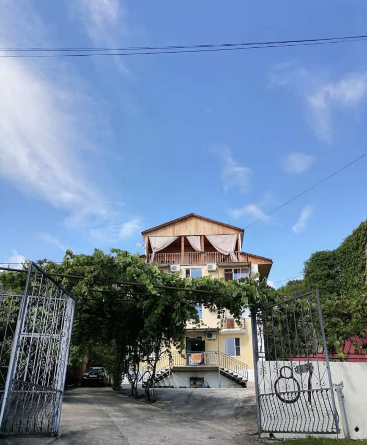 Мандариновый сад, Гагра — фото 8