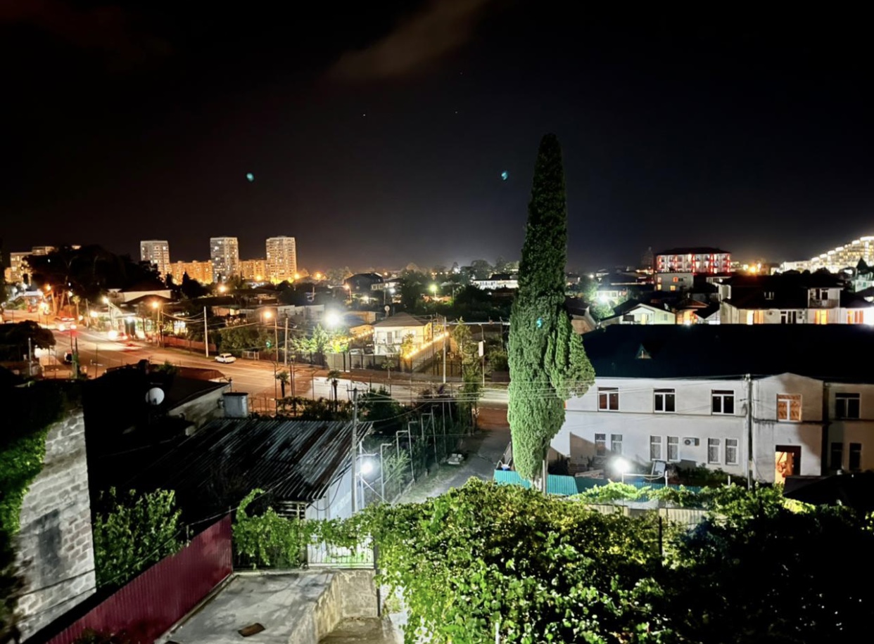 Мандариновый сад, Гагра — фото 6