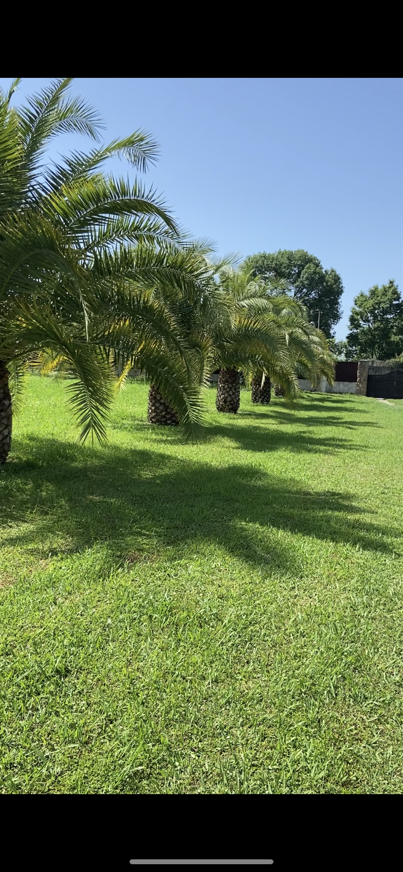 Глэмпинг Лыхны-Парк, Гудаута — фото 10