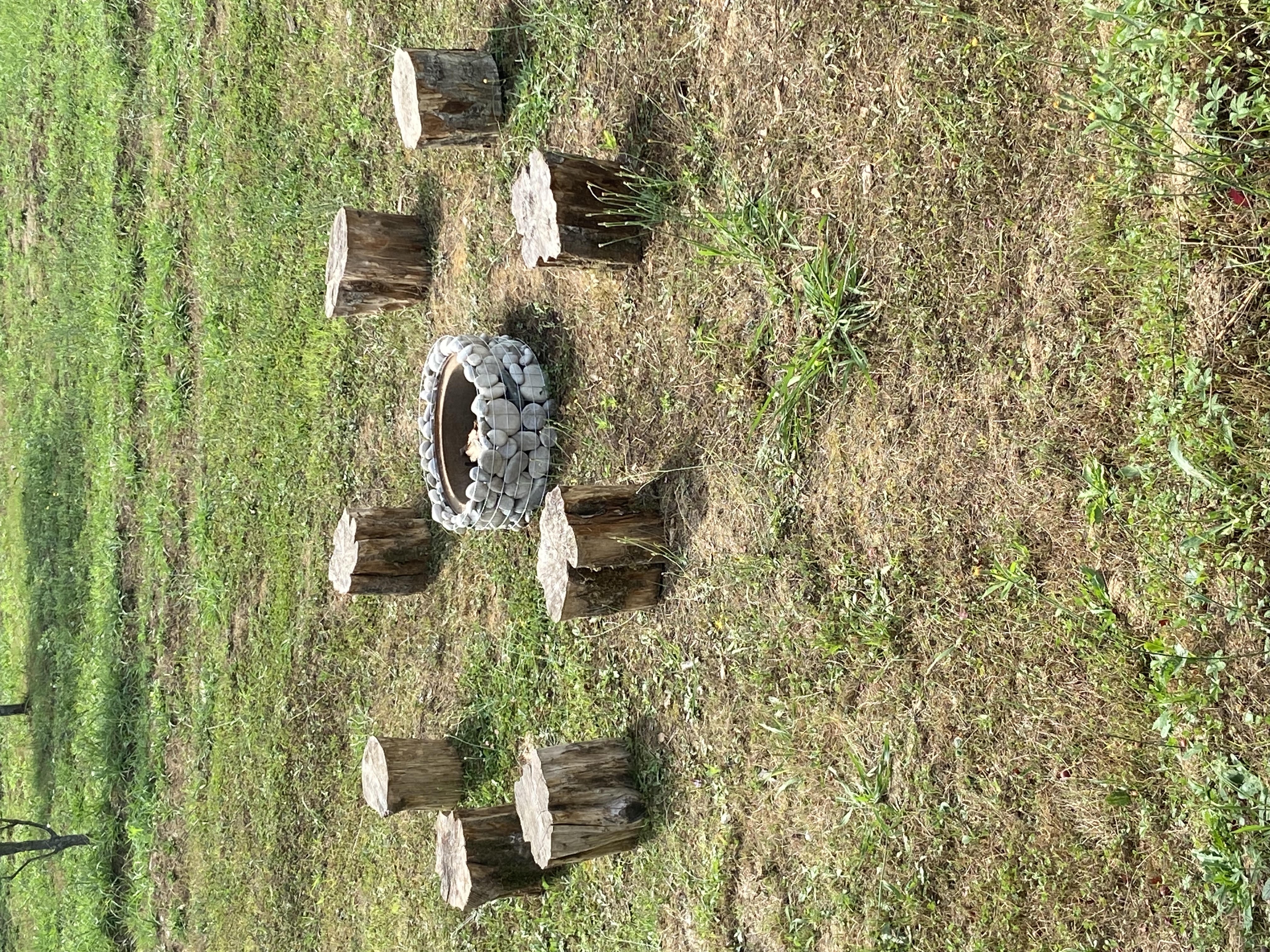 Глэмпинг Лыхны-Парк, Гудаута — фото 11