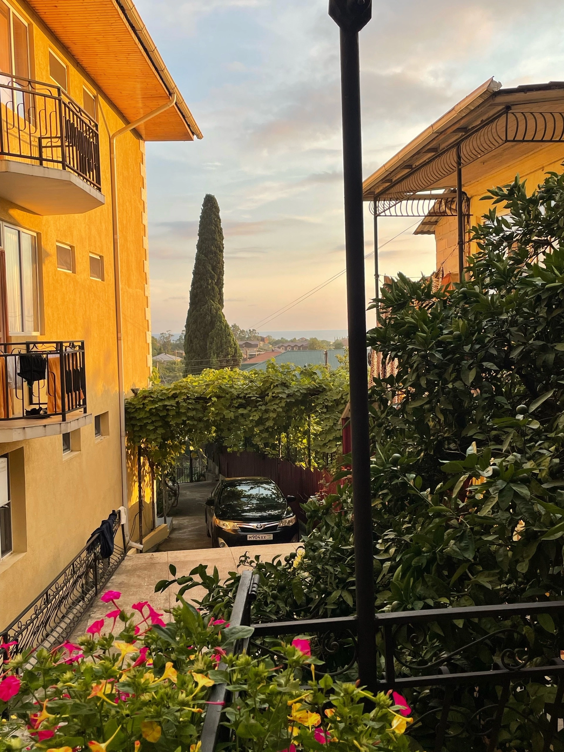 Мандариновый сад, Гагра — фото 13