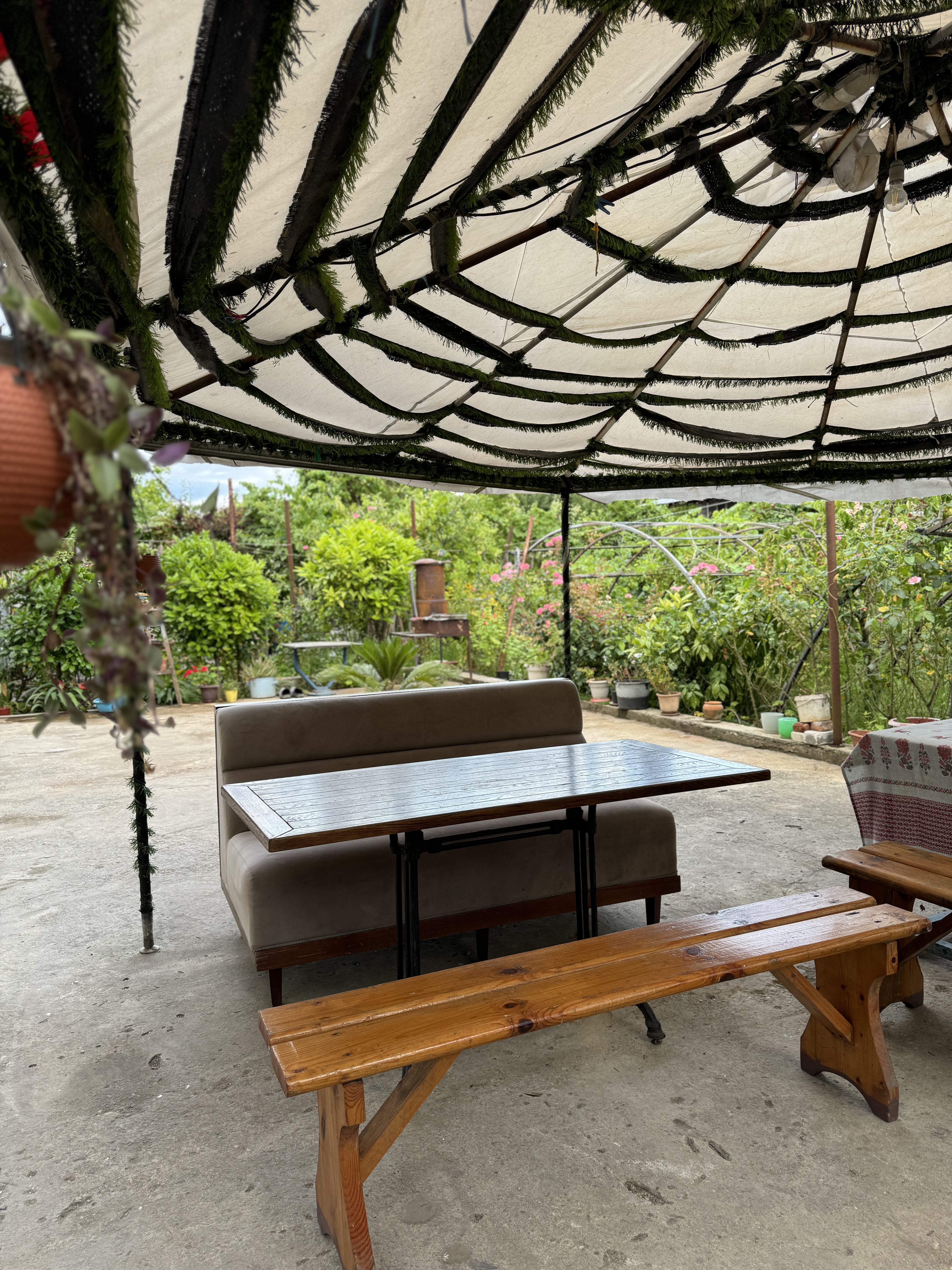 Гостевой дом «Эльсоф», Гагра — фото 11