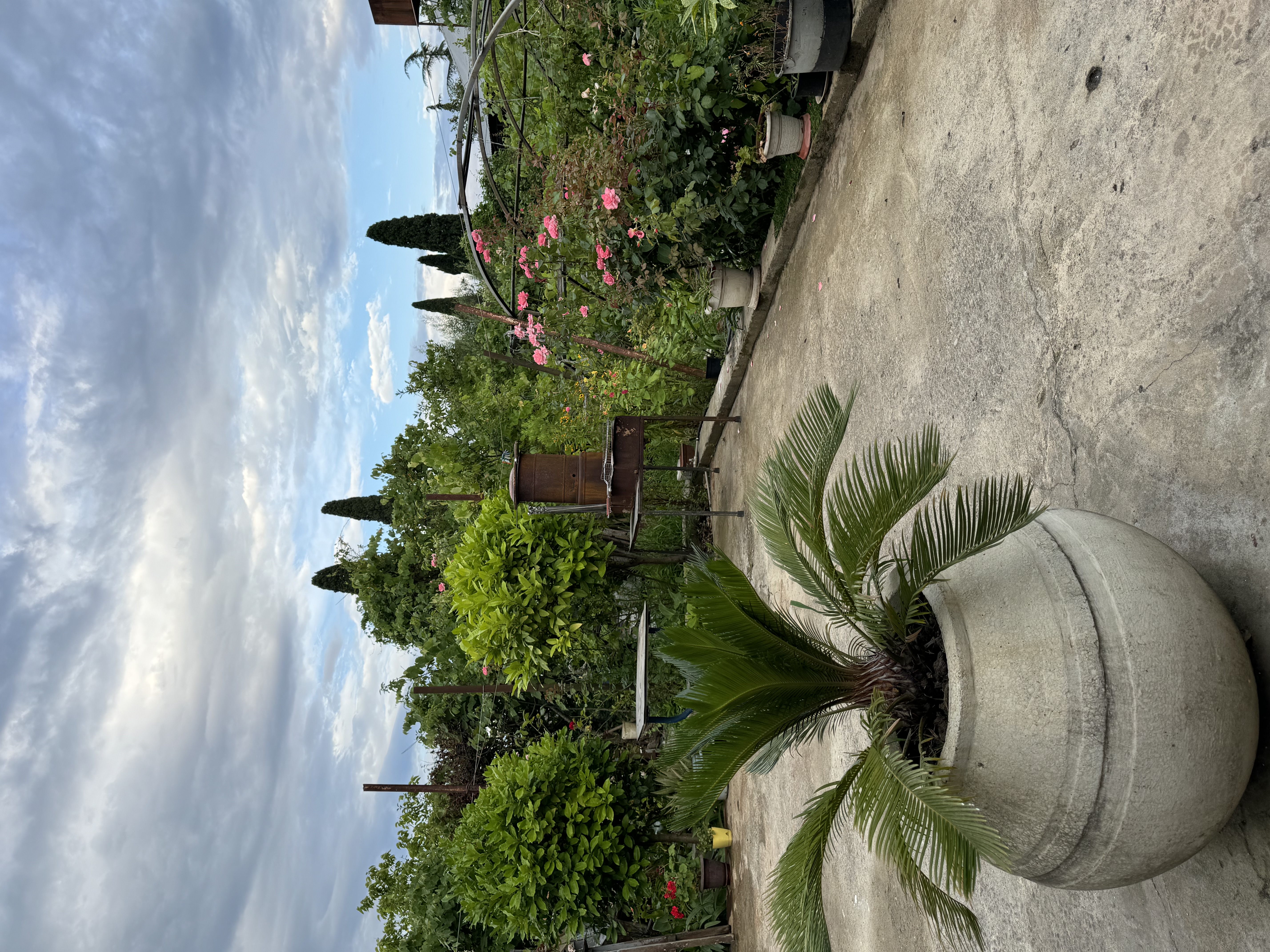 Гостевой дом «Эльсоф», Гагра — фото 12