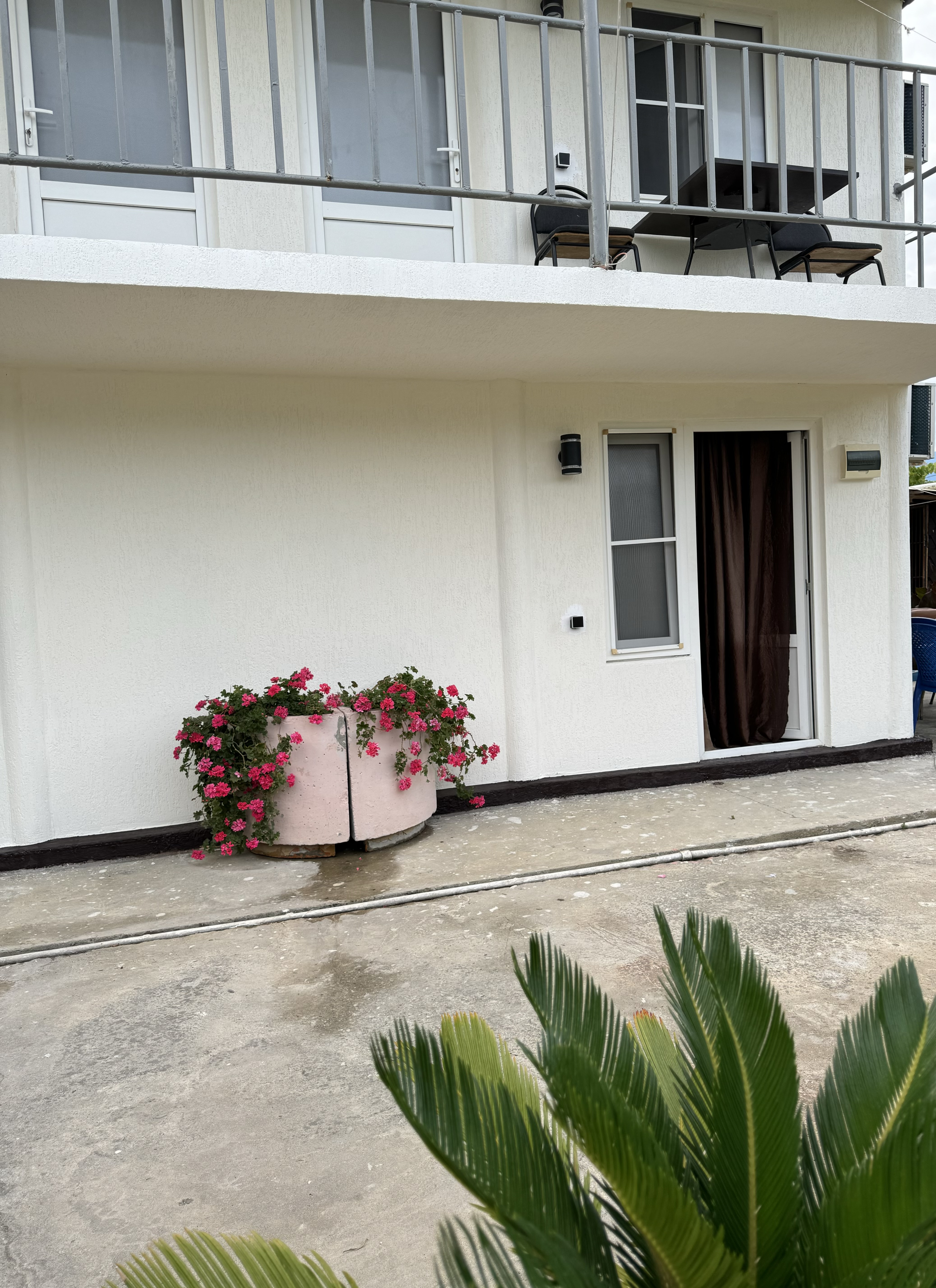 Гостевой дом «Эльсоф», Гагра — фото 2