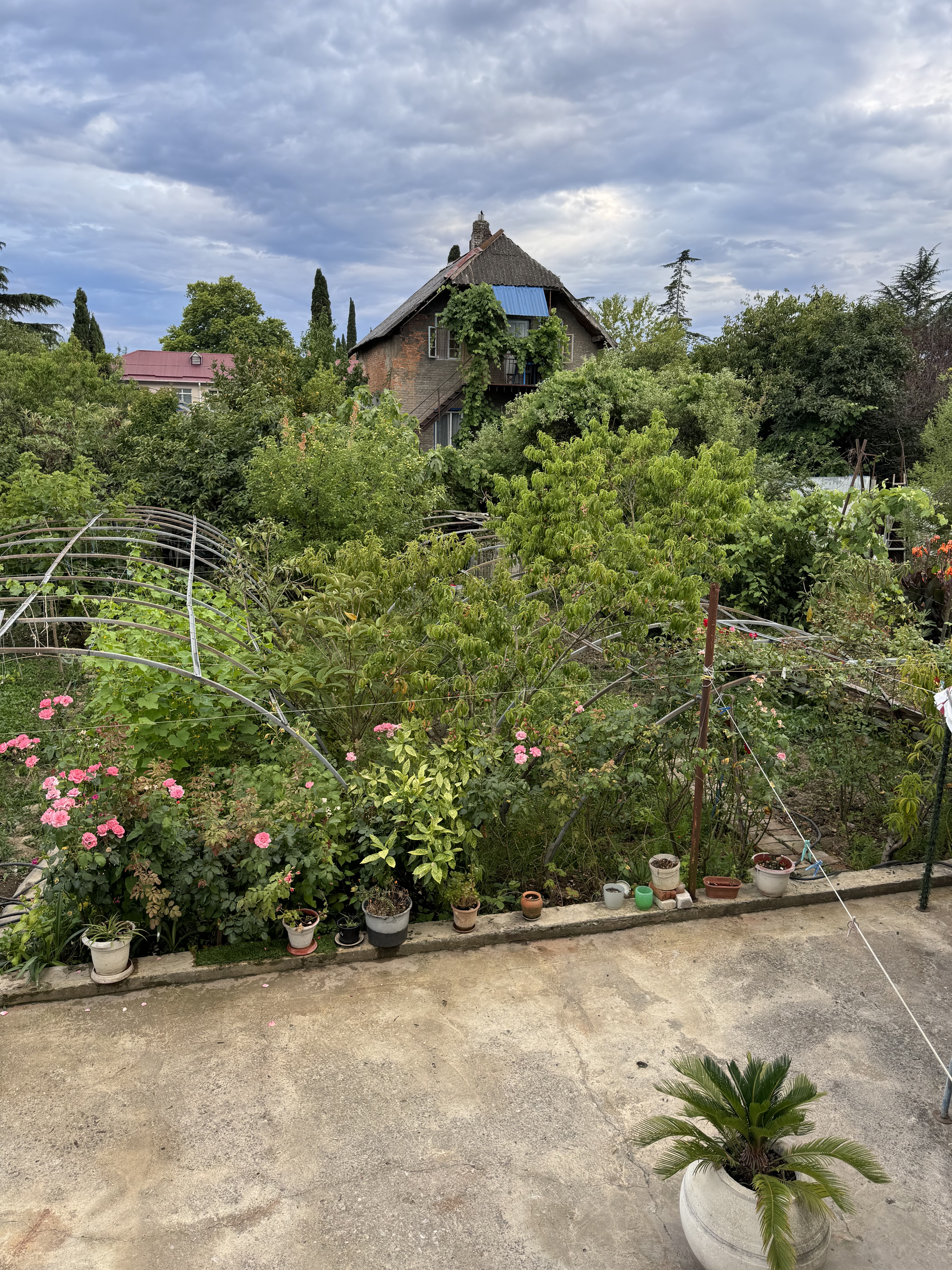 Гостевой дом «Эльсоф», Гагра — фото 13