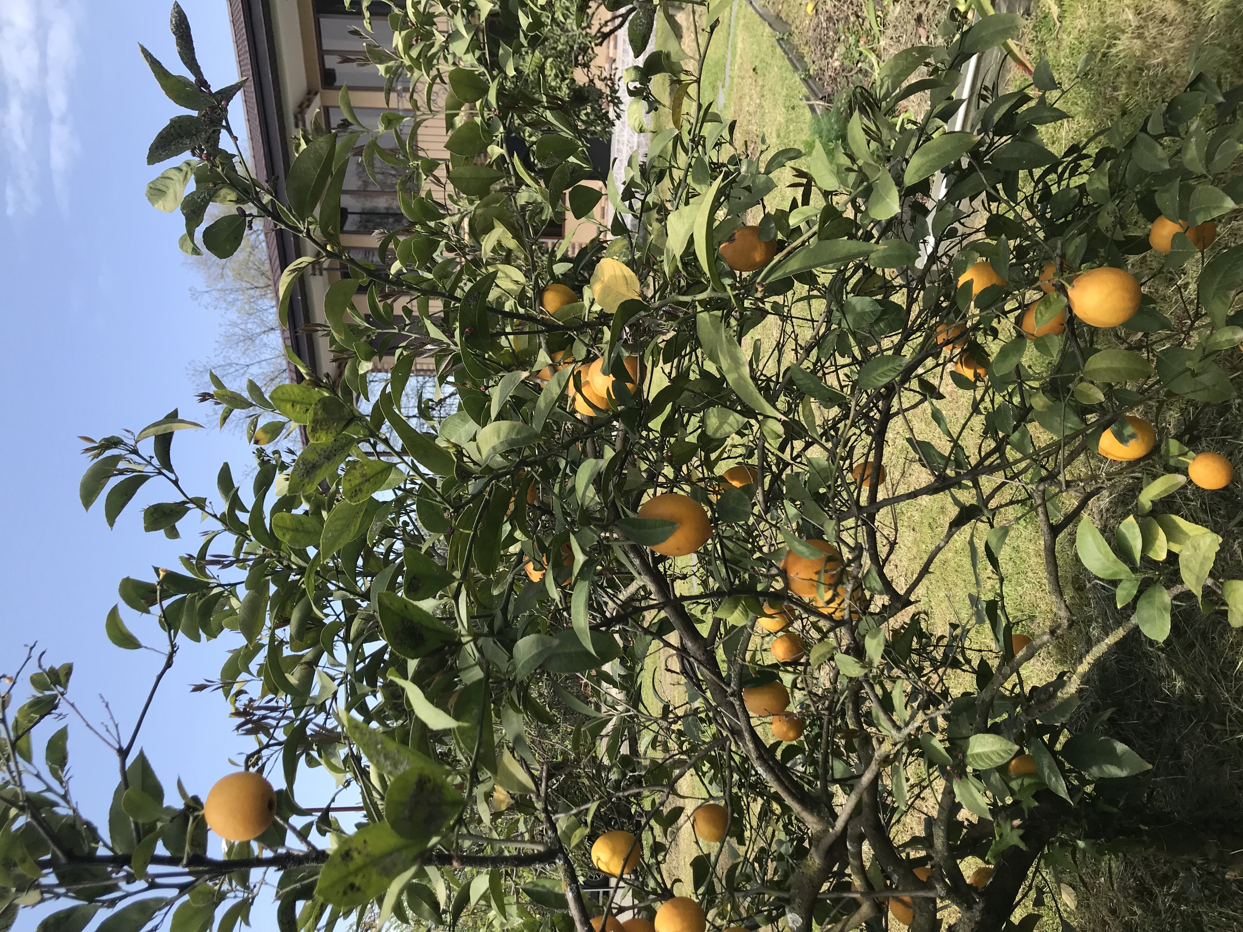 Мачара, район «Каштак» — фото 3