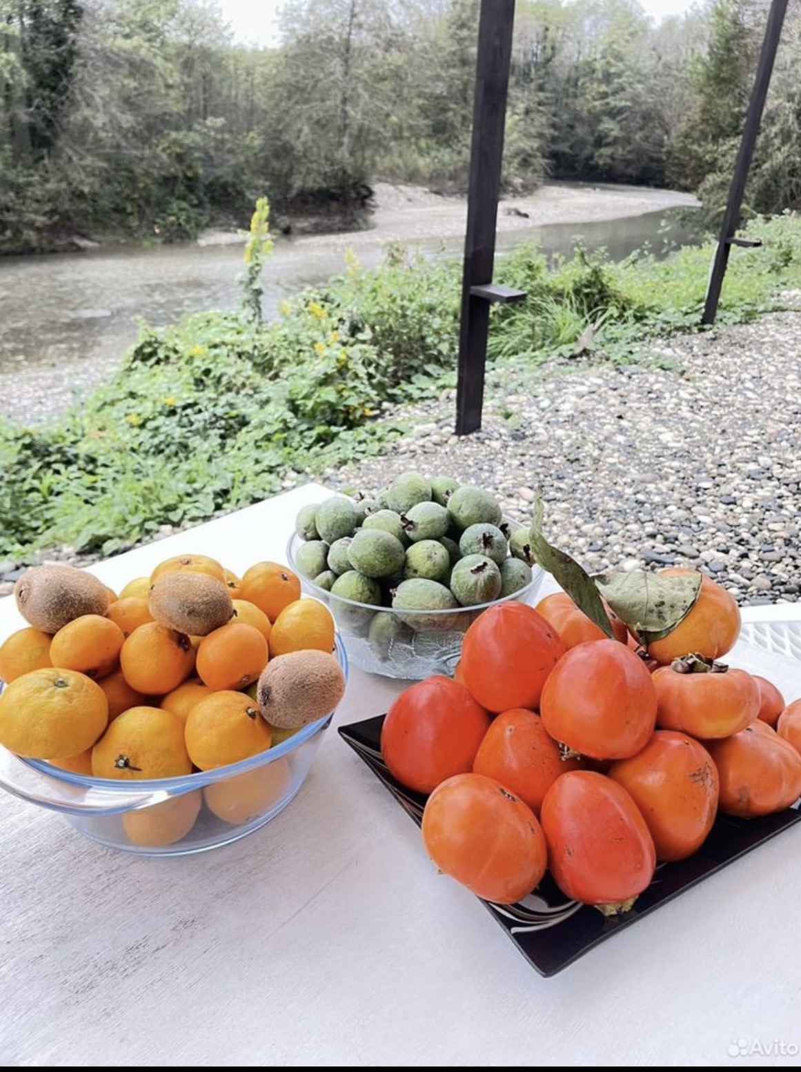 КрутоТут, Тамыш — фото 12