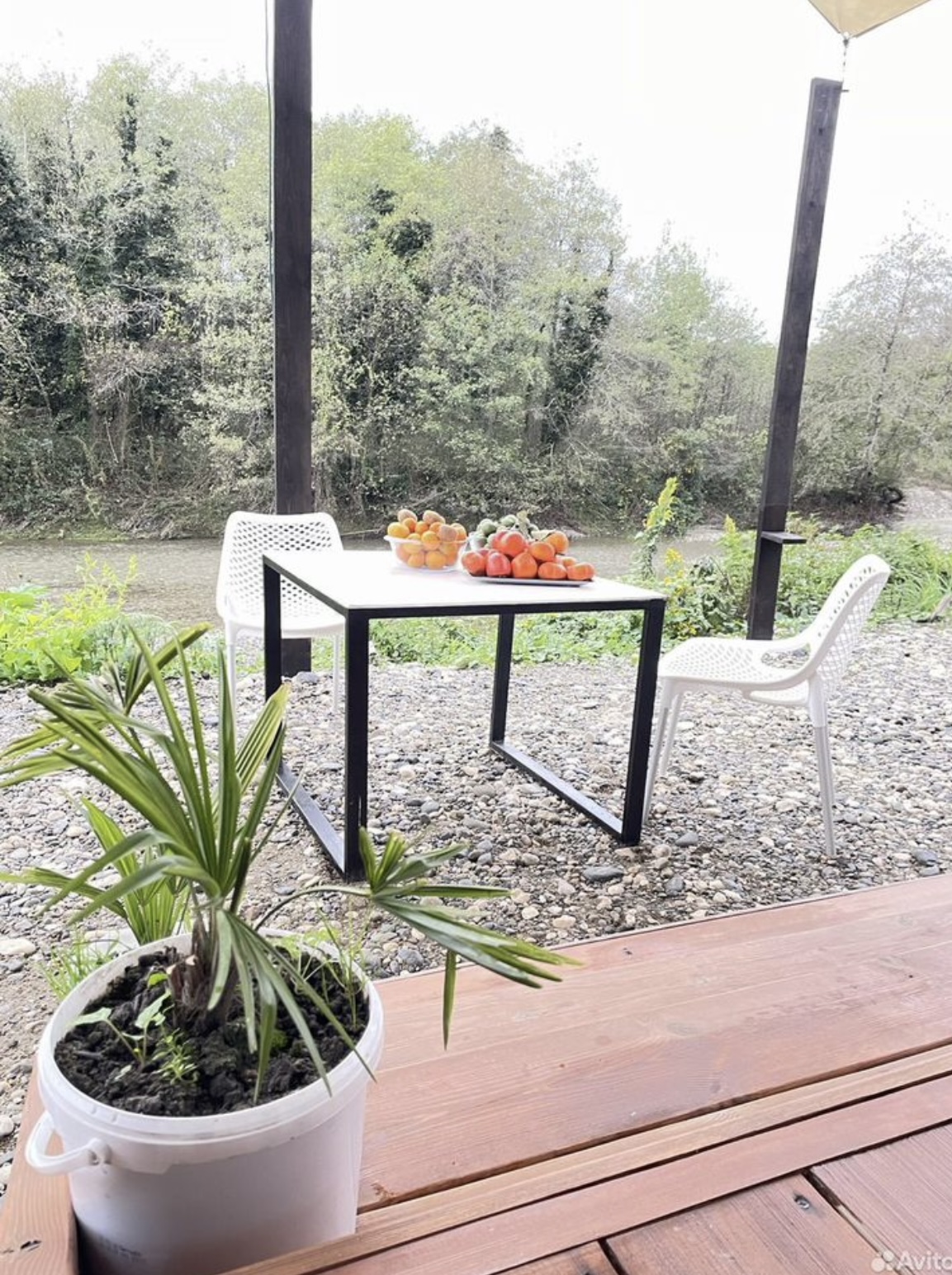 КрутоТут, Тамыш — фото 14